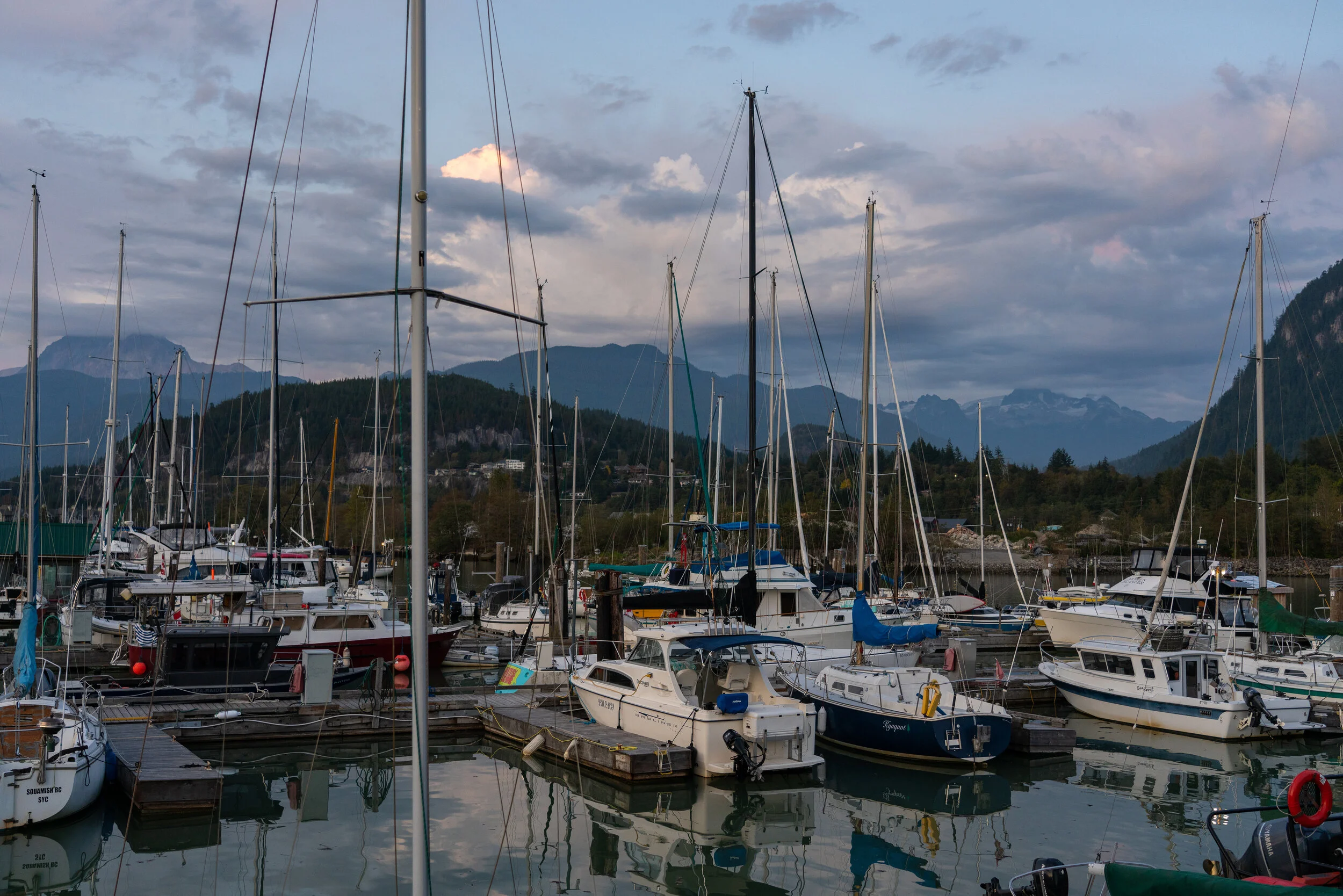 DSC01912.jpg