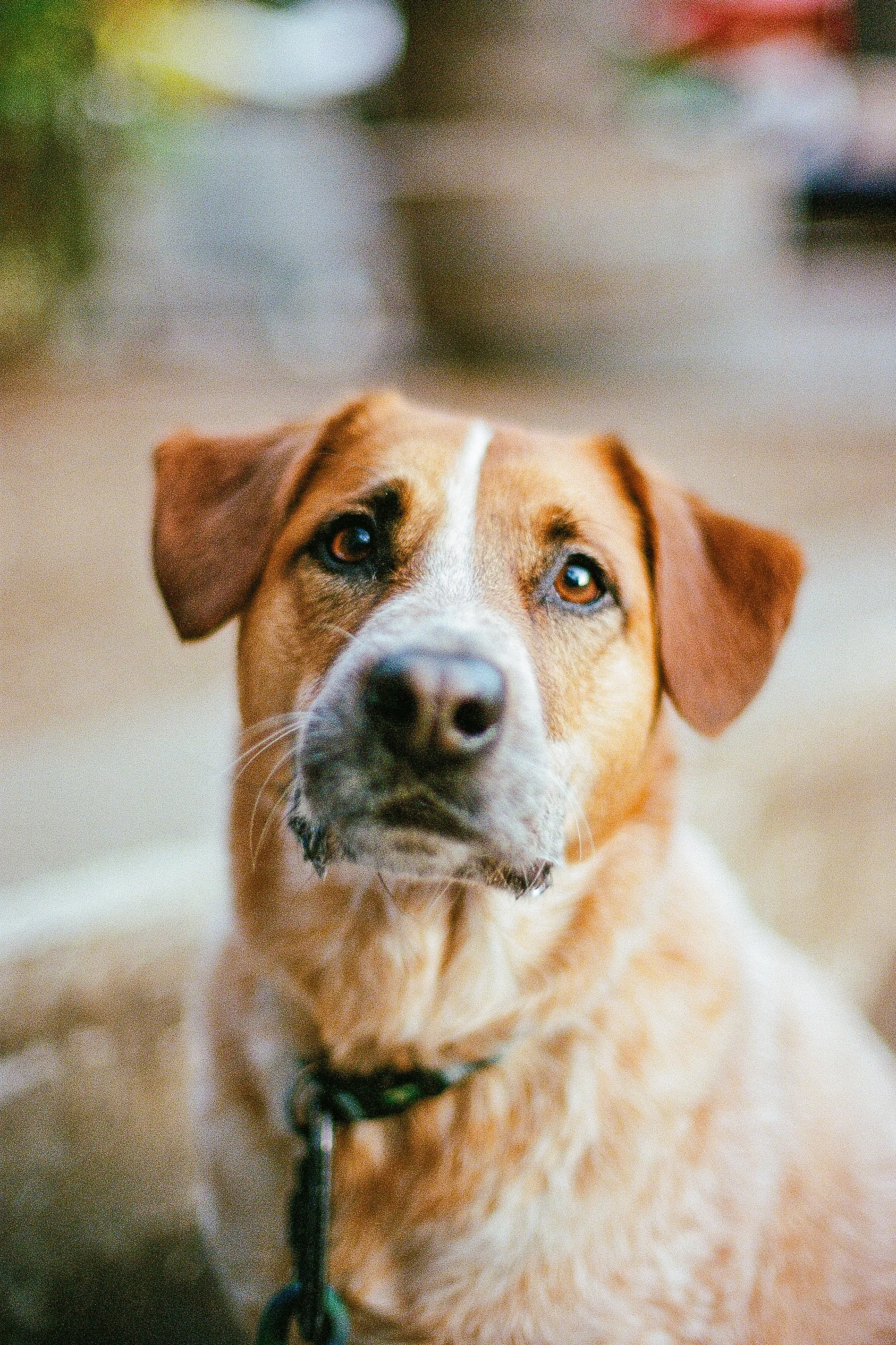 Finn on film
