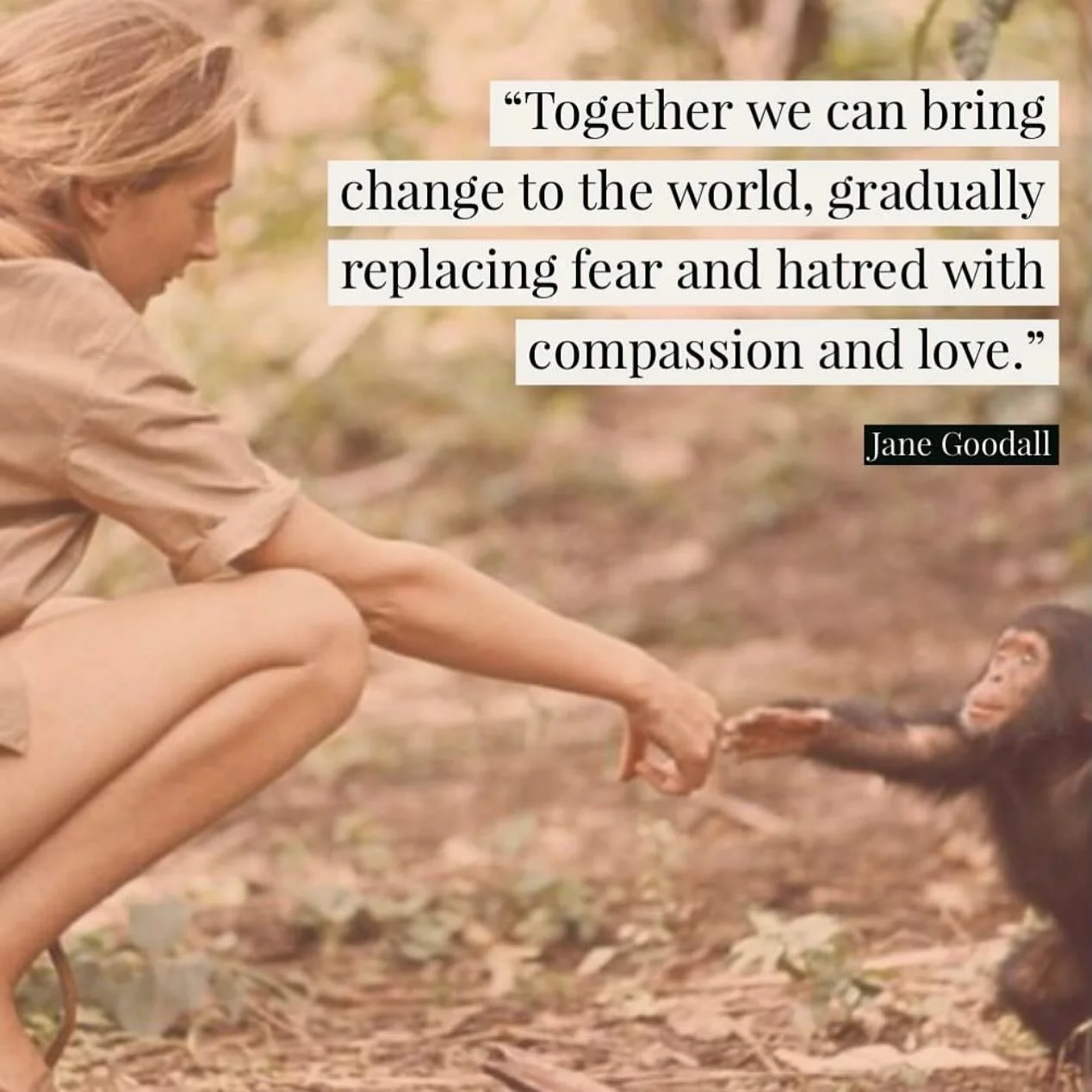 RIP DR. JANE GOODALL ❤️ (1934-2025) an incredible primatologist, ethologist and environmental activist who inspired millions around the world, with unwavering passion, energy and commitment to the welfare of this planet. 💚🌍

⊛ Jane was widely consi