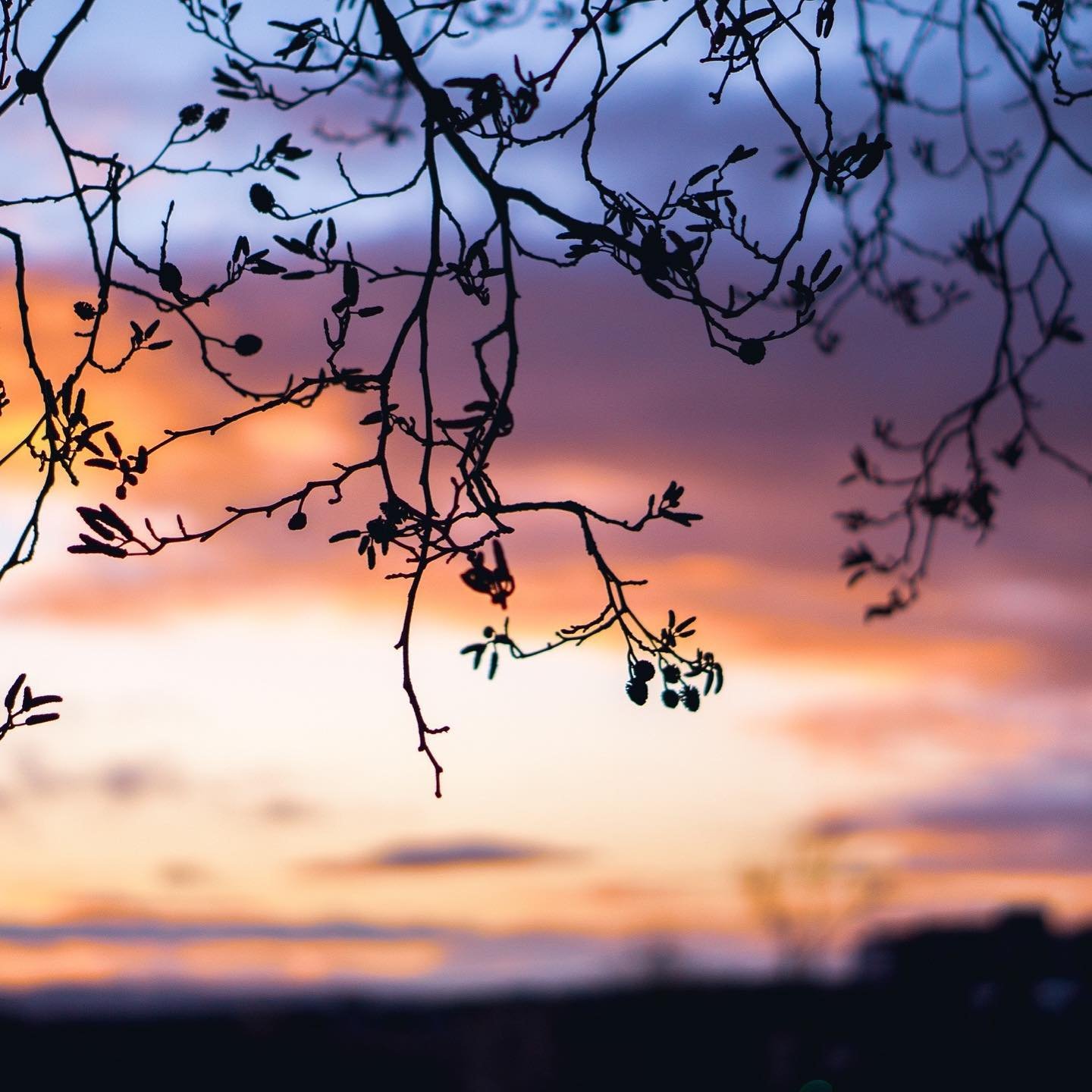 How often do you feel forced into making less ethical choices than you&rsquo;d like? Either through lack of 
&bull;money 
&bull;time
&bull;energy
&bull;options
&bull;all of the above&hellip; 😒
These moments are made worse by the guilt and complex fe