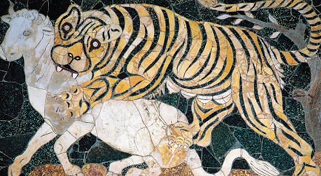 Is Animal Suffering an Achilles Heel For Creationists?