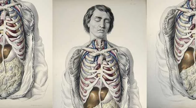 What Your Body Knows About God