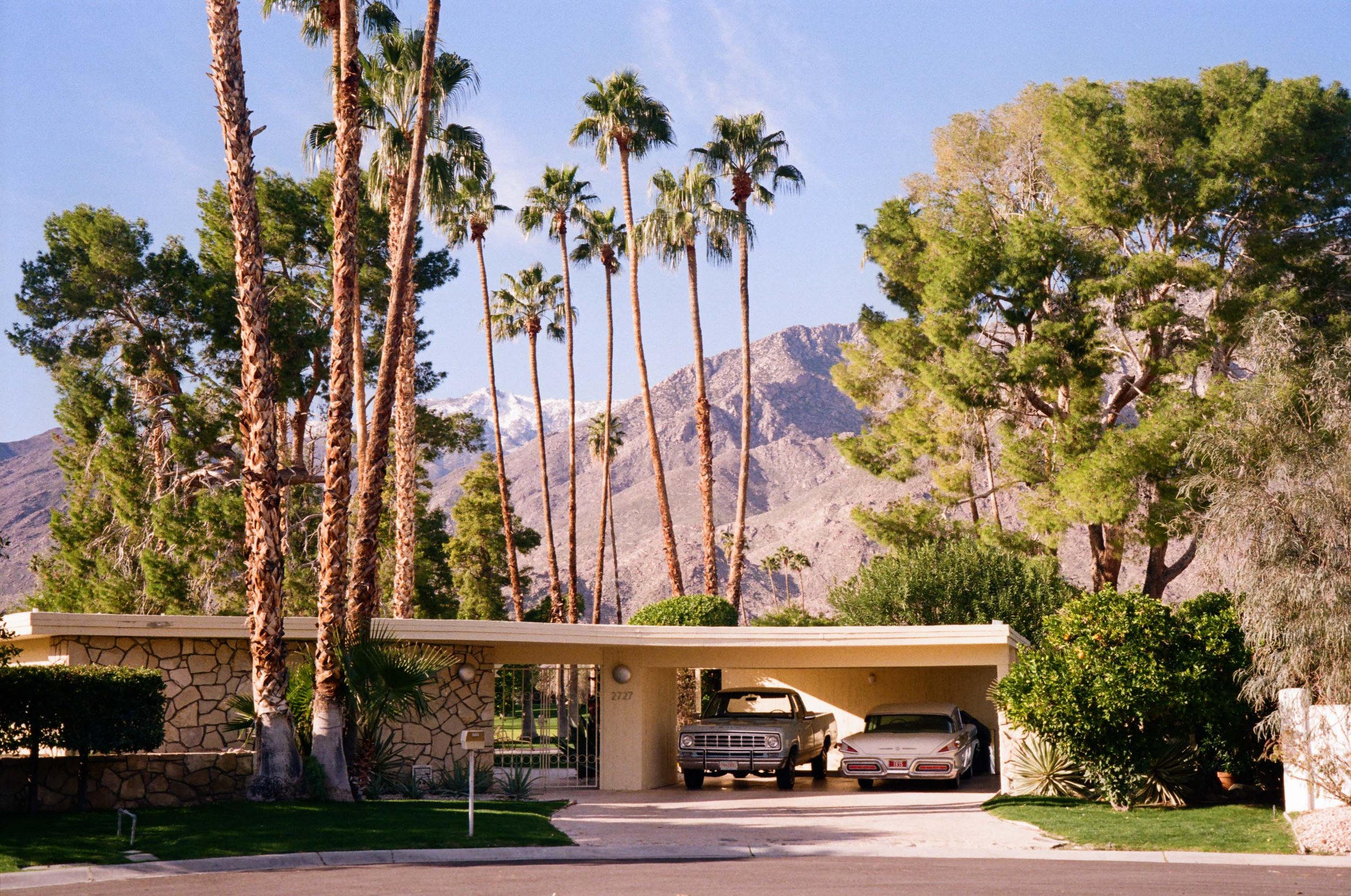 kodak_colorplus_200_01_25_2023_000112870020.jpg