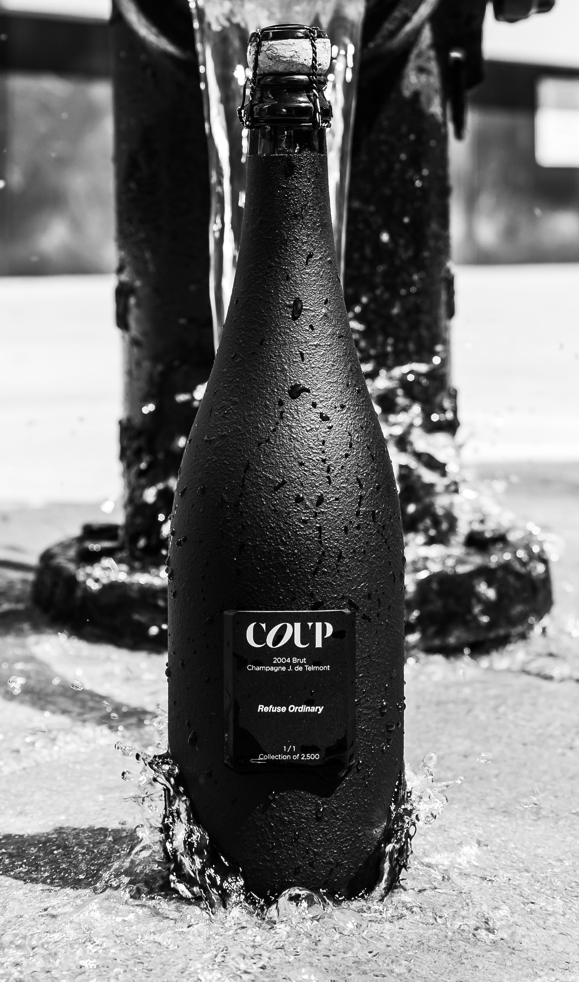 COUP-28.jpg