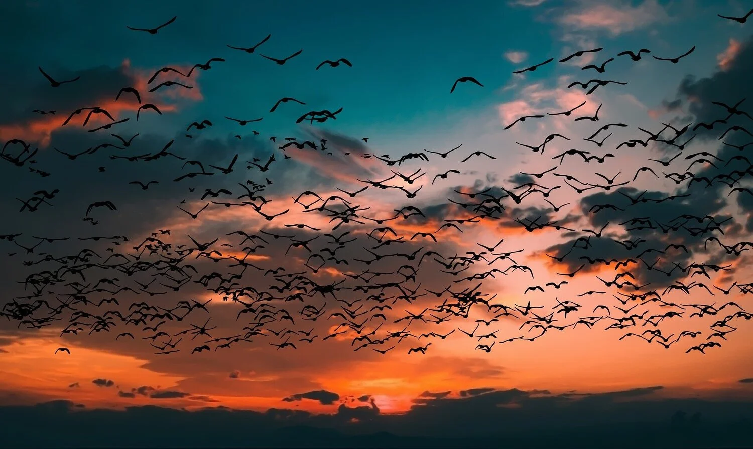 sunset-4379799_1920.jpg