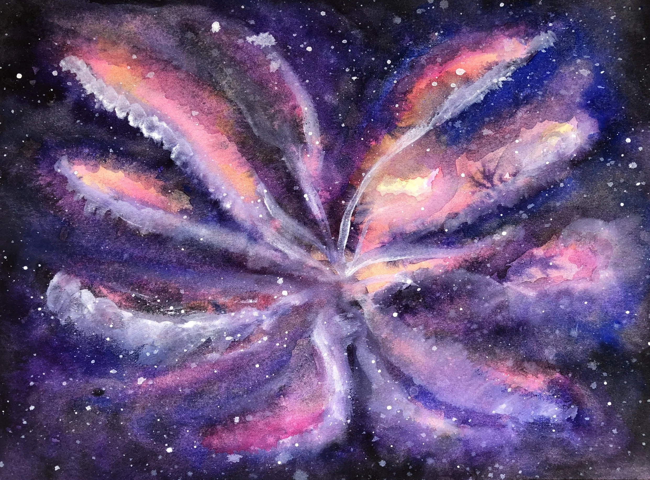 Flower Nebula
