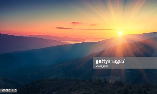 Photo by vovik_mar/iStock / Getty Images
