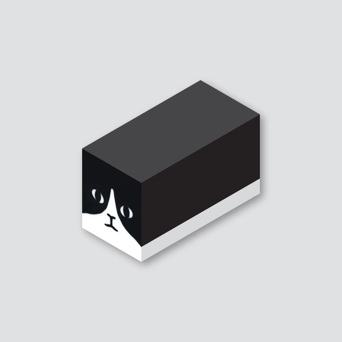 DIY Cat Eraser