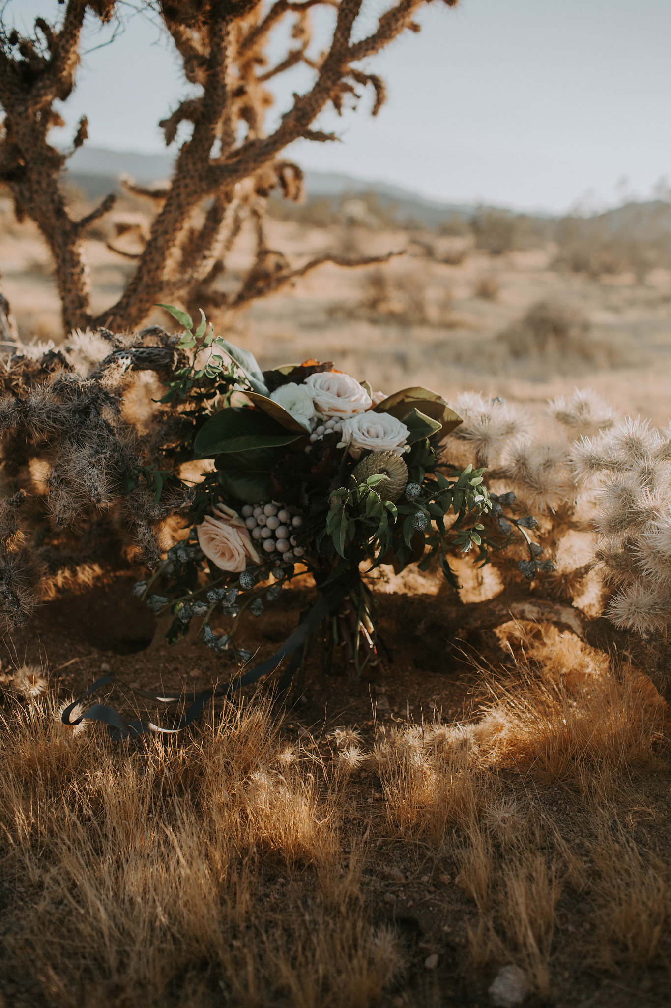 Joshua-Tree-Airbnb-Elopement-29.jpg