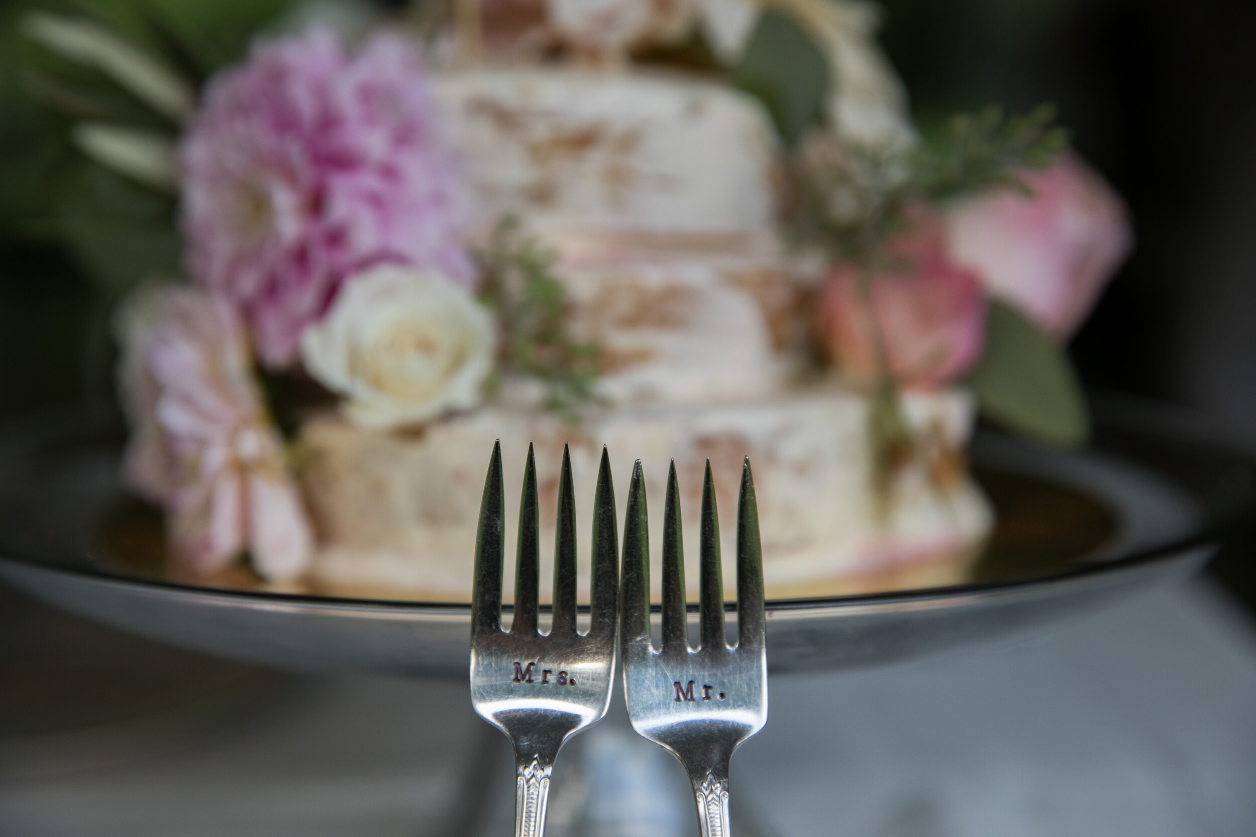 Photo by Steph Stevens Photography / Cake by Blue Door Gatherings