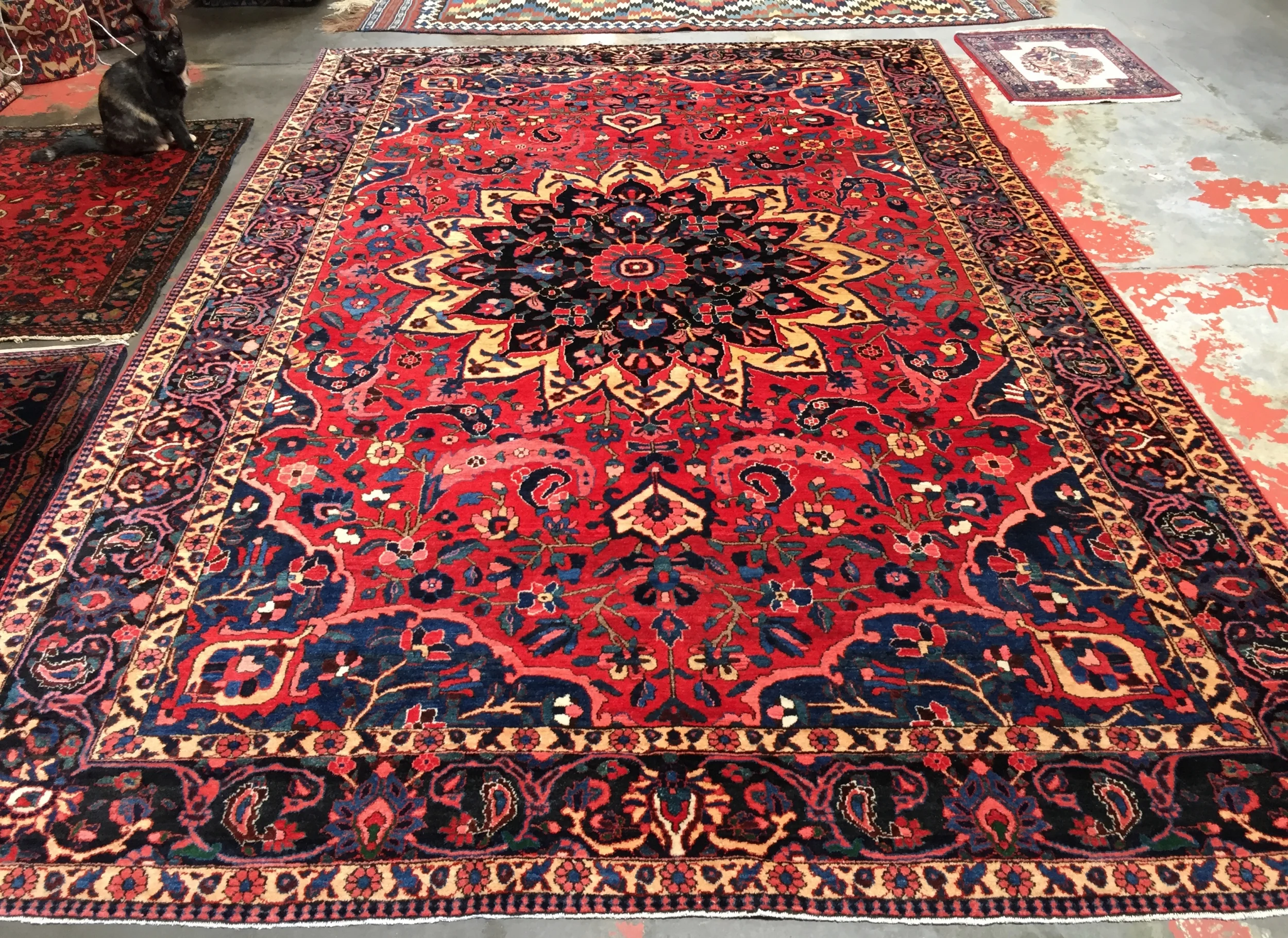 Vintage Persian Bakhtiari Rug 7x10