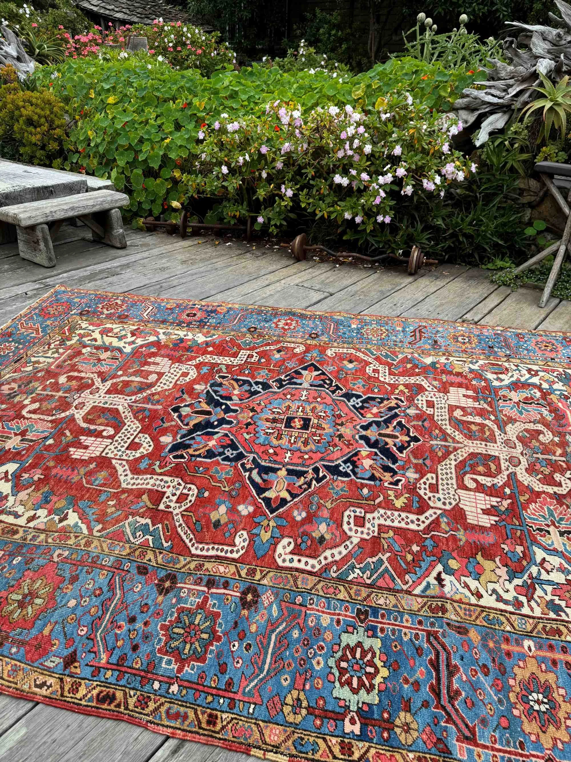 dragon rugs