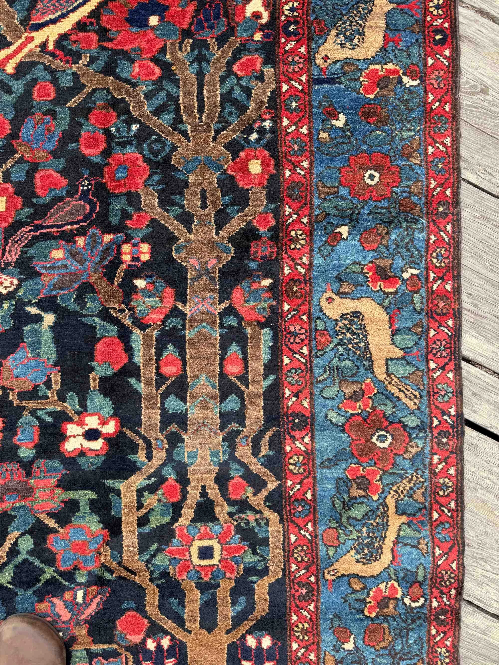 Bakhtiari rugs