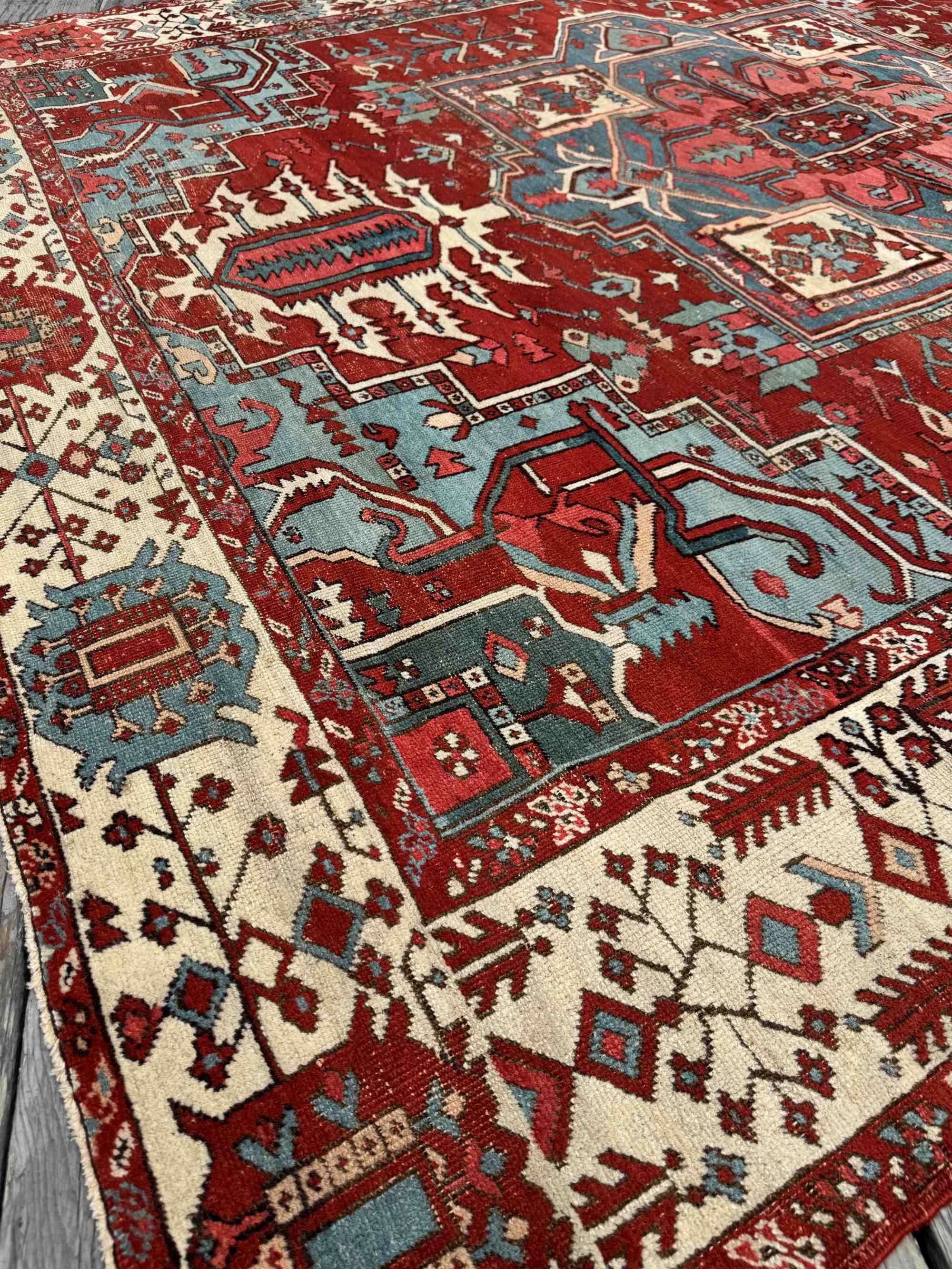 connoisseur caliber rugs