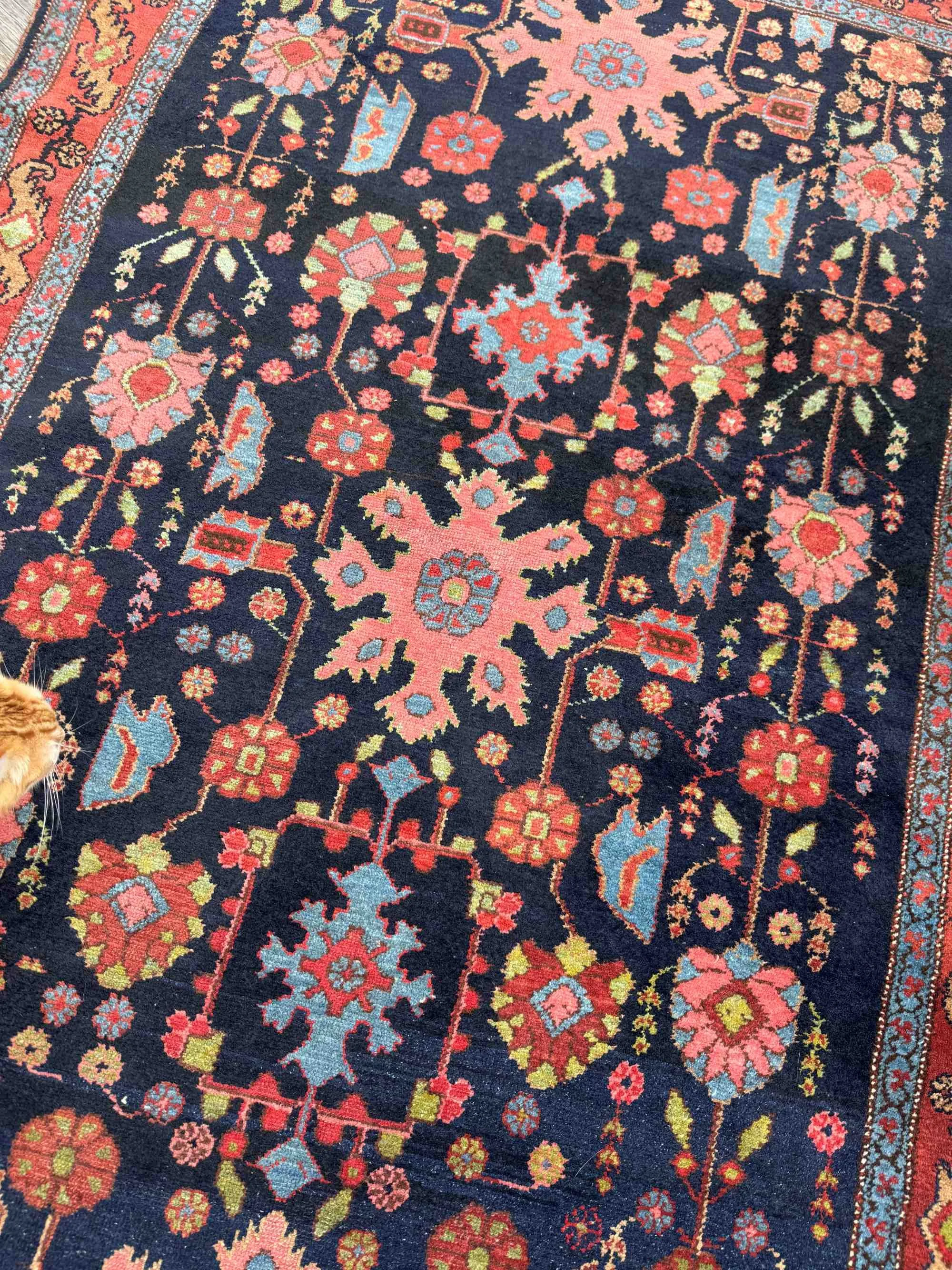 Bakhtiari rugs