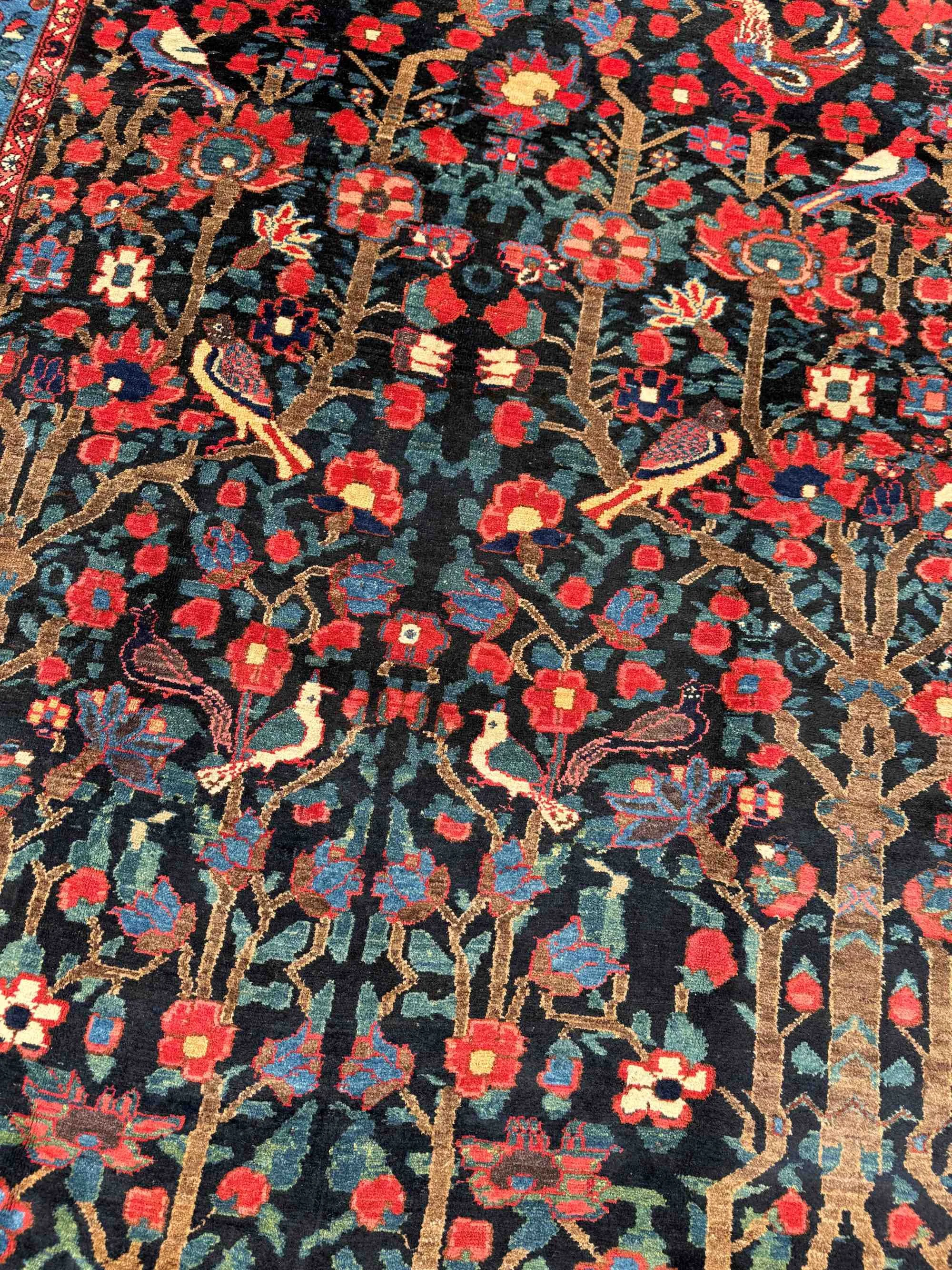 paradise garden