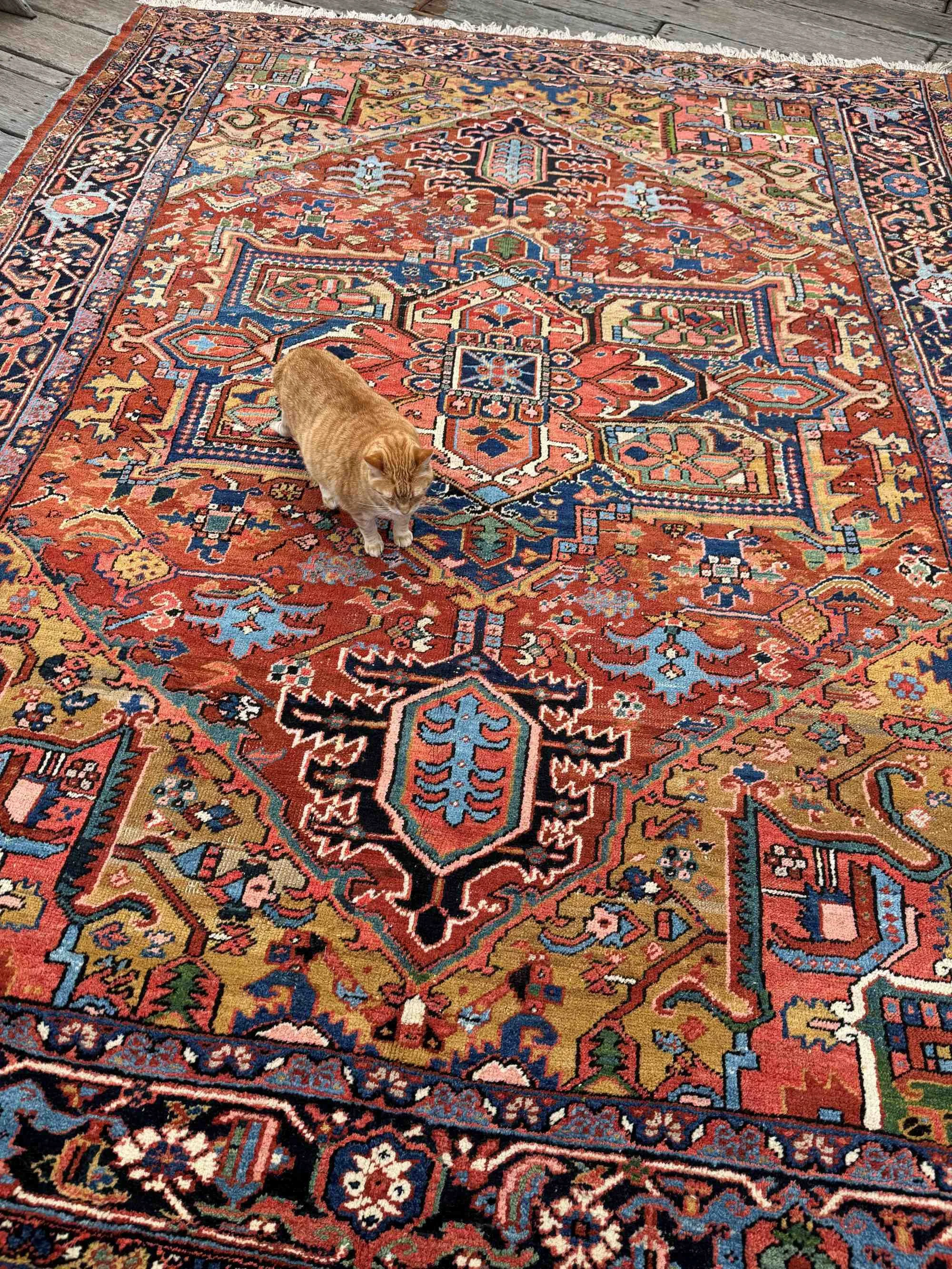 fine oriental rugs