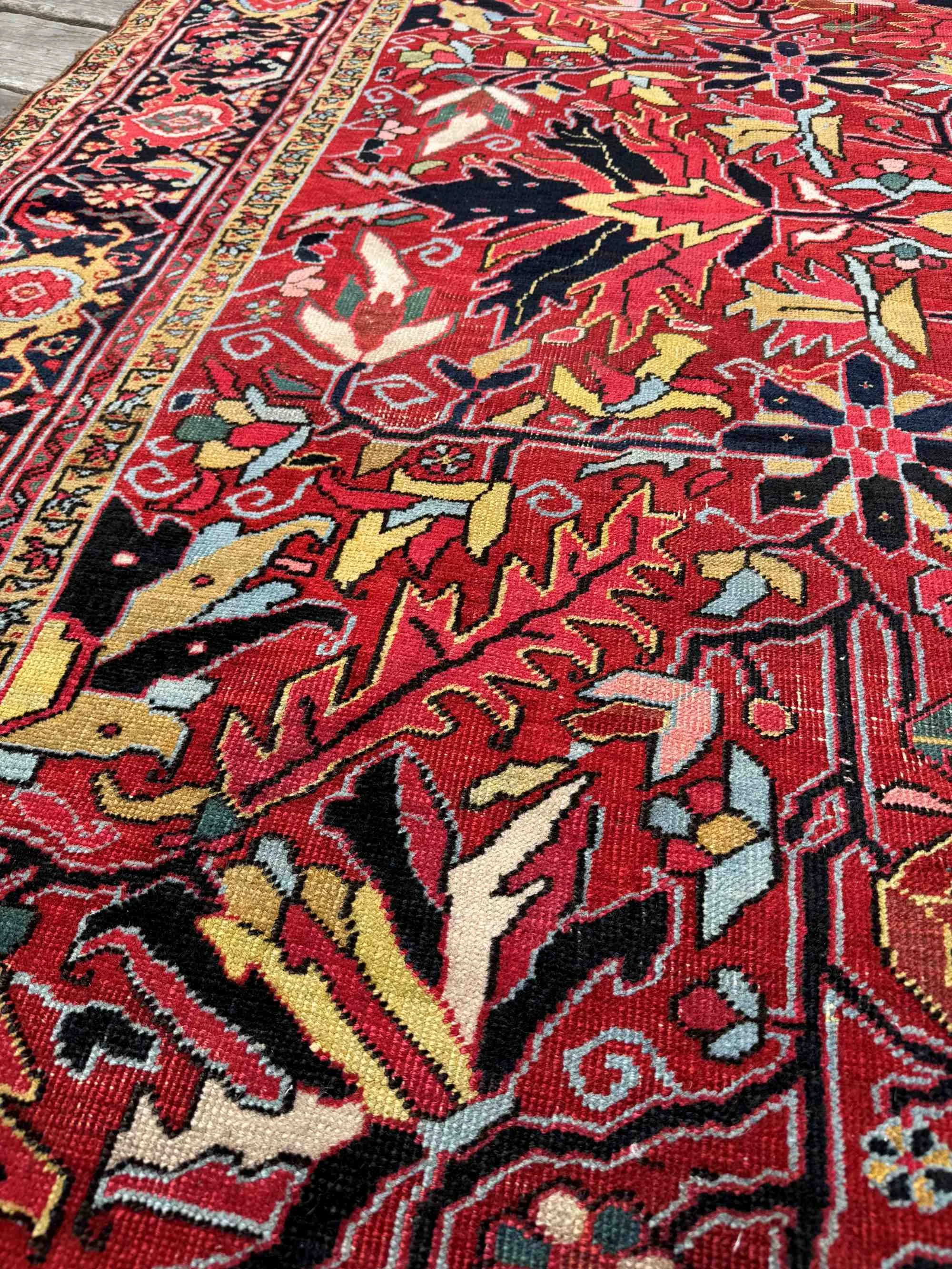 botanical rugs