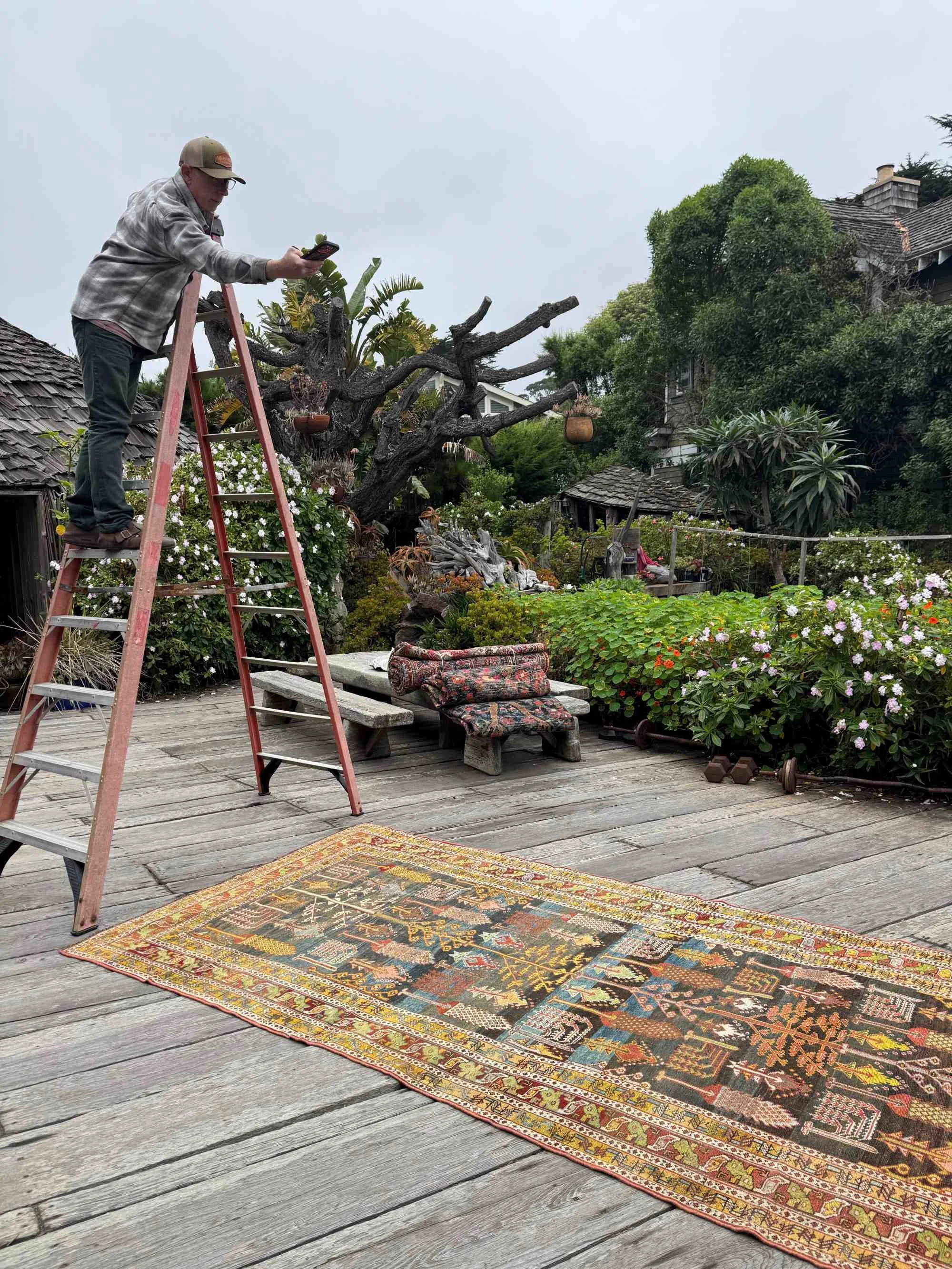 Steelman Rugs tribal