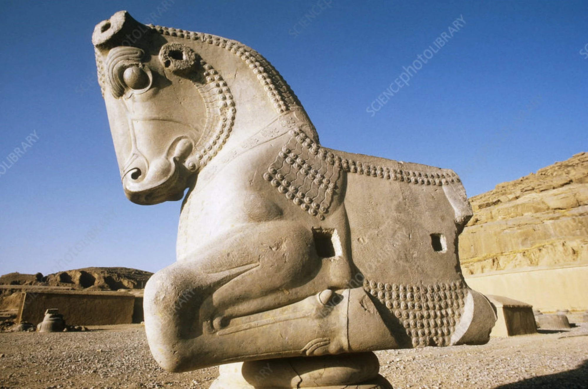 12_Persepolis Horse.jpg