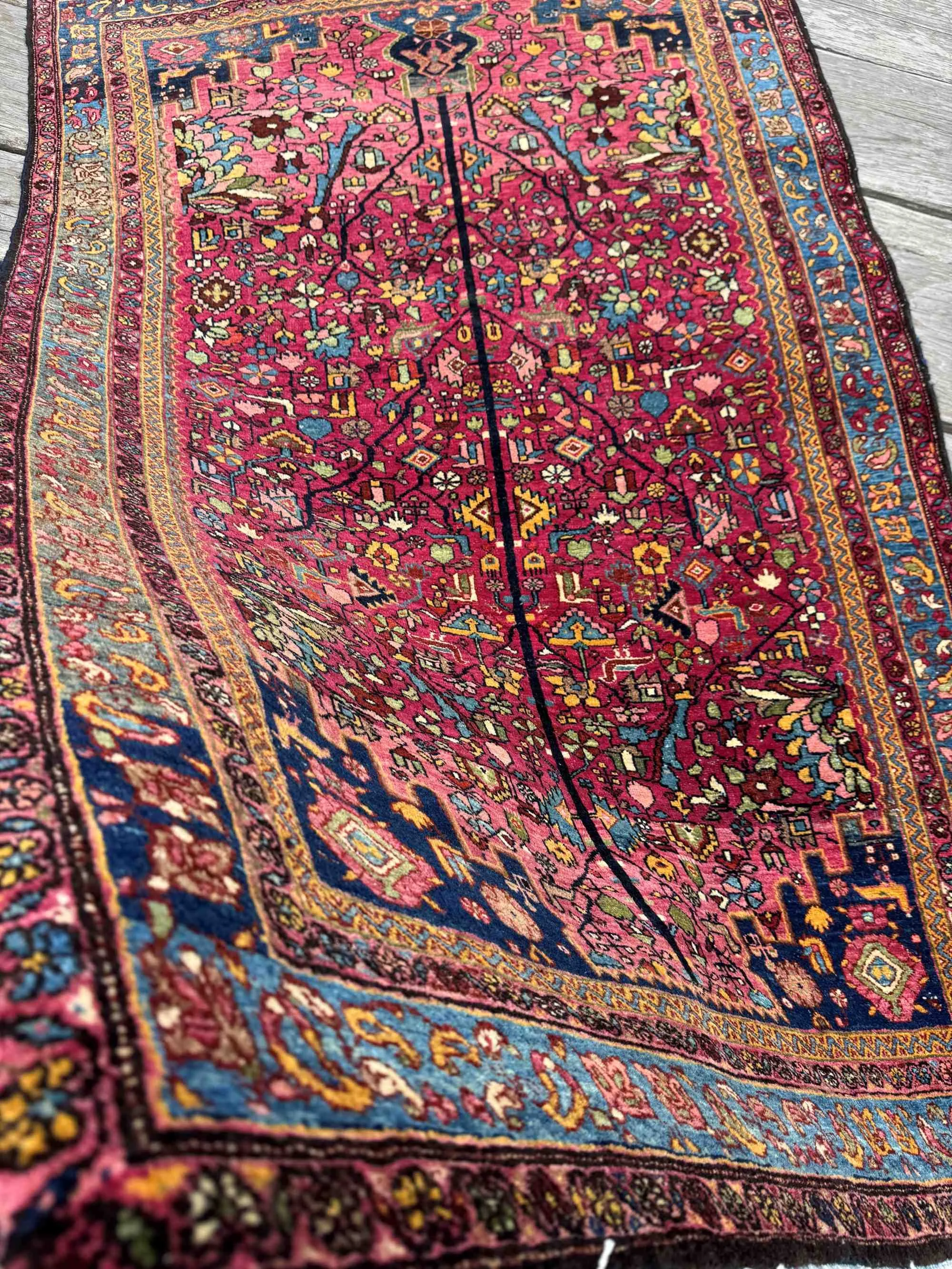 connoisseur caliber rugs
