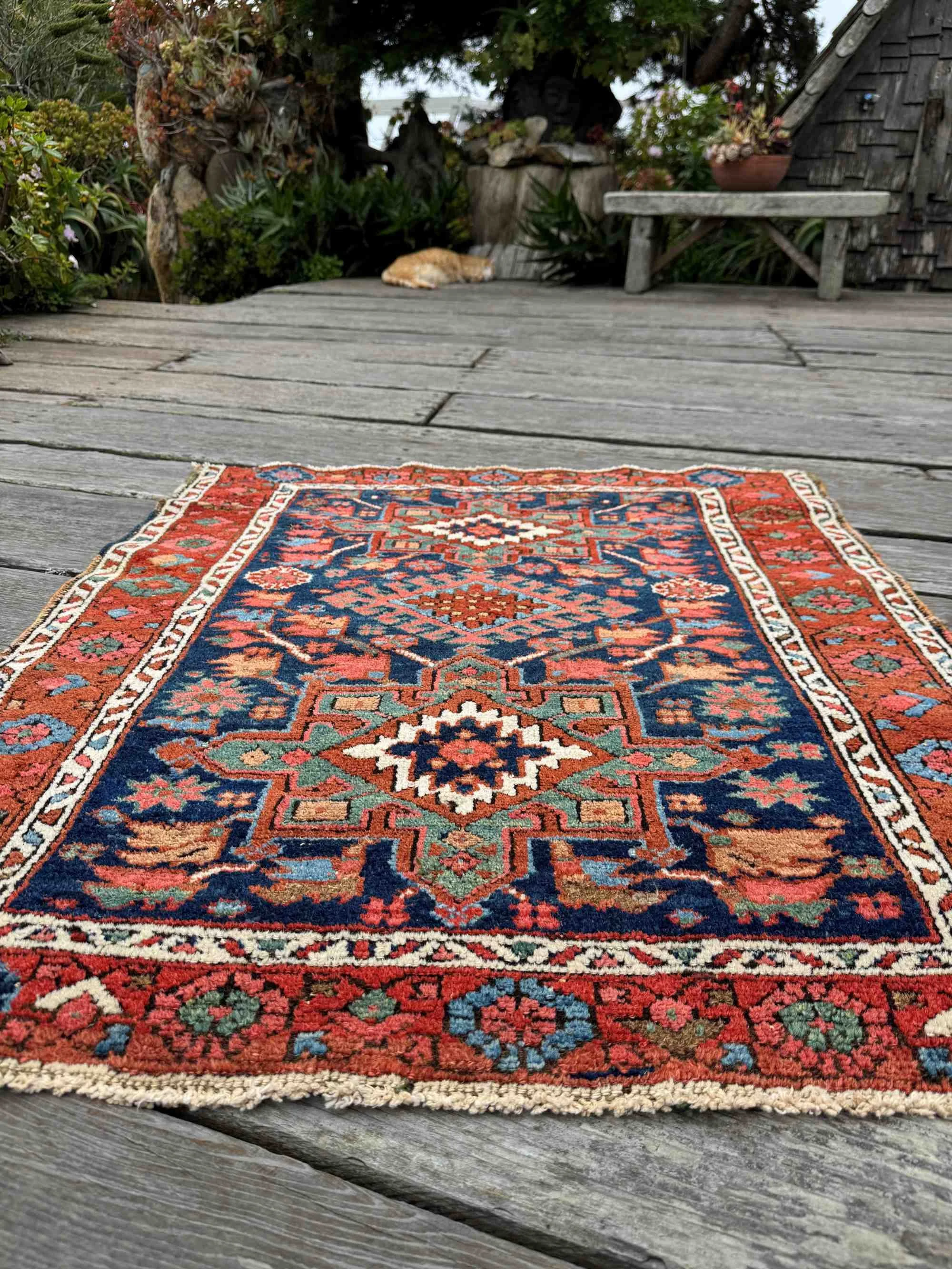 tribal accent rugs