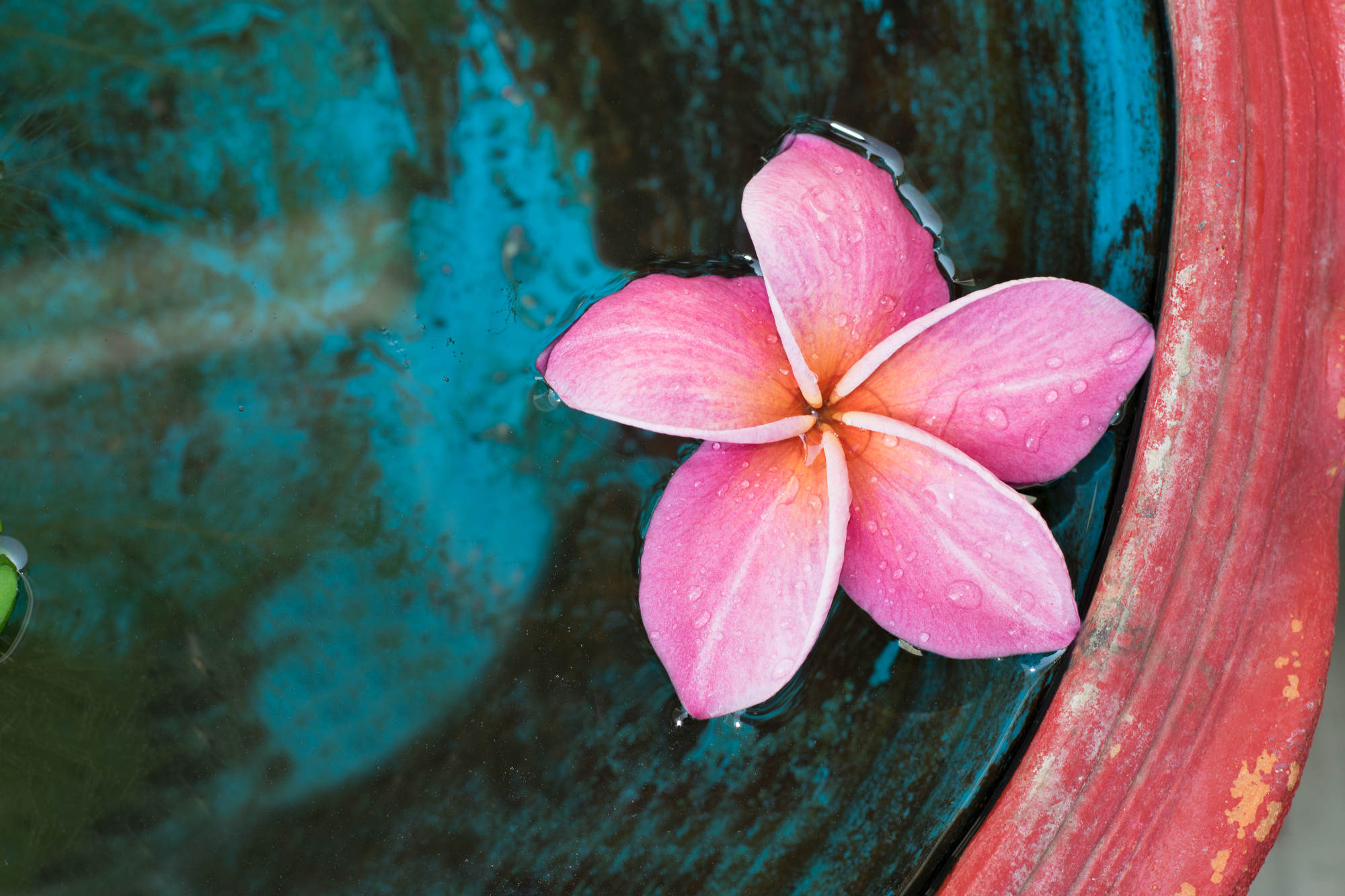 resources-header.jpg