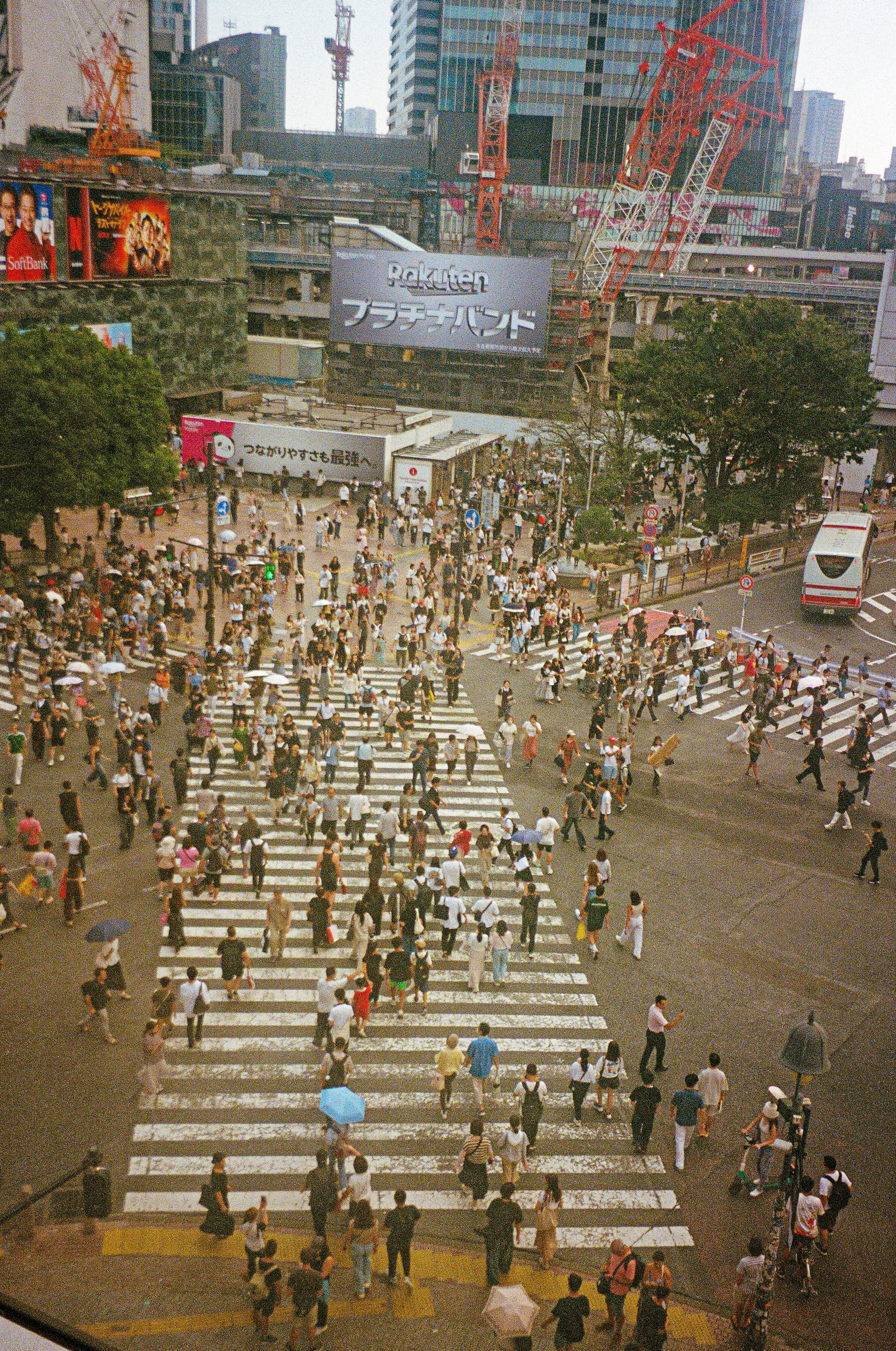 84180027.jpg