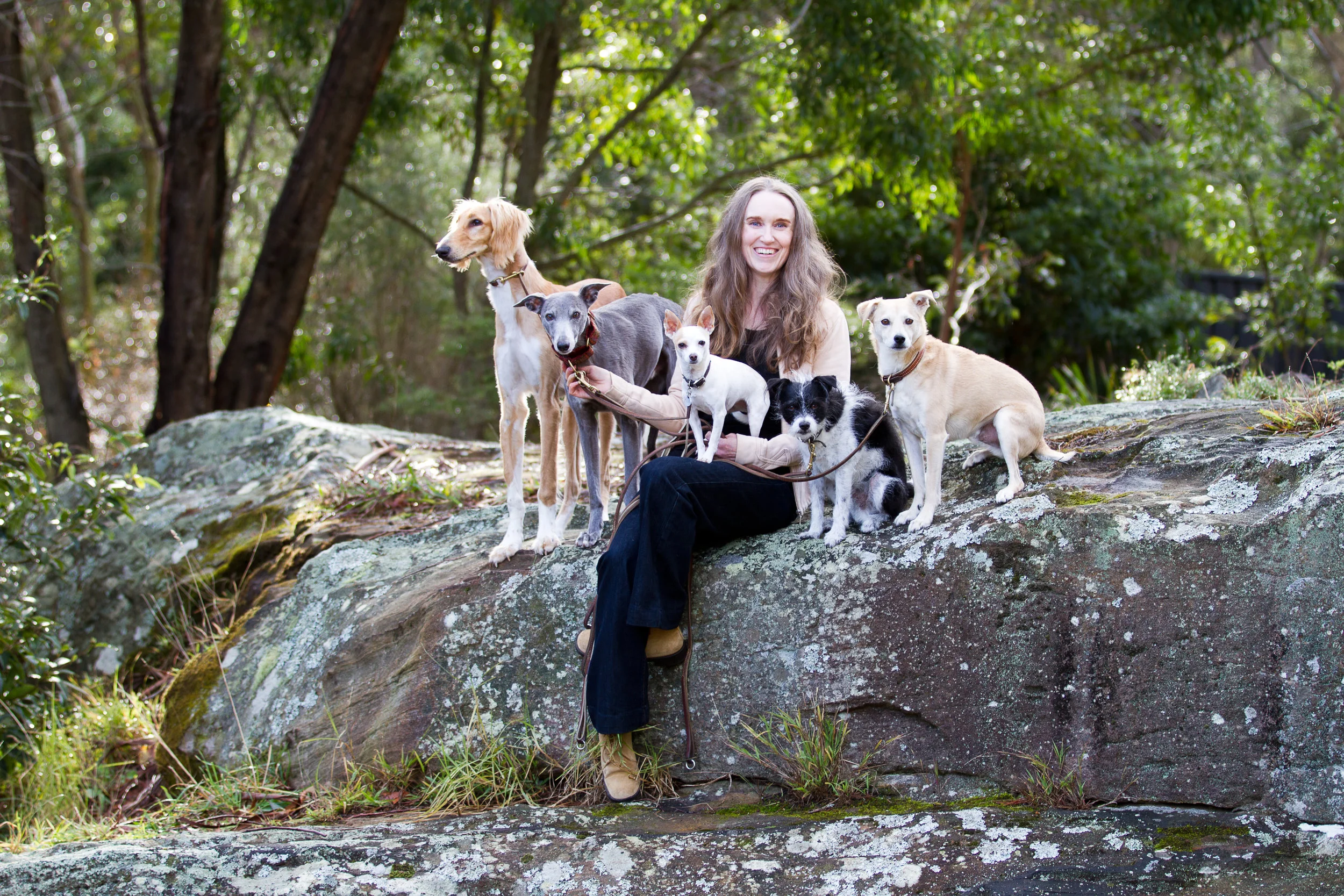 With Melanie are, from left to right,&nbsp;foster pup Aslan the Saluki, Slipstream the whippet, Squeak AKA Tiny Dancer, Iota AKA Scruffy Ray of Sunshine, and Cricket AKA Tricky Cricky