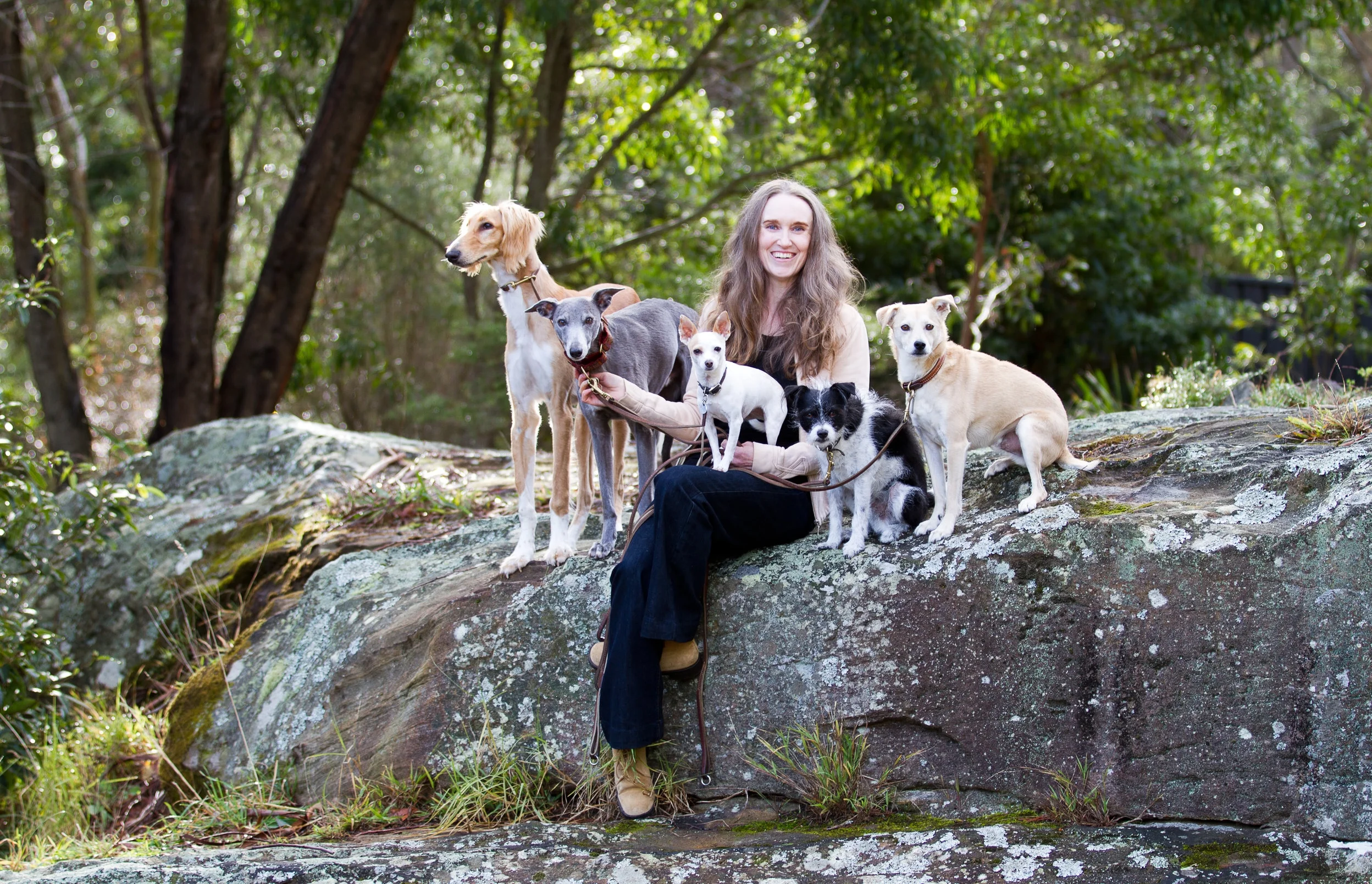 Pictured above with Melanie are, from left to right, foster pup Aslan the Saluki, and 'The Fantastic Four'... Slipstream the whippet, Squeak AKA Tiny Dancer, Iota AKA Scruffy Ray of Sunshine, and Cricket AKA Tricky Cricky. &nbsp;Photo credit: Merrir…