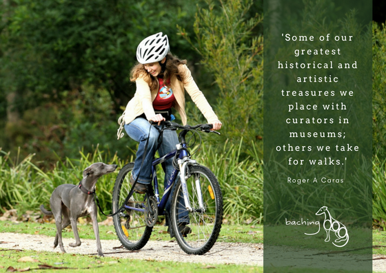 Others we take for walks.png