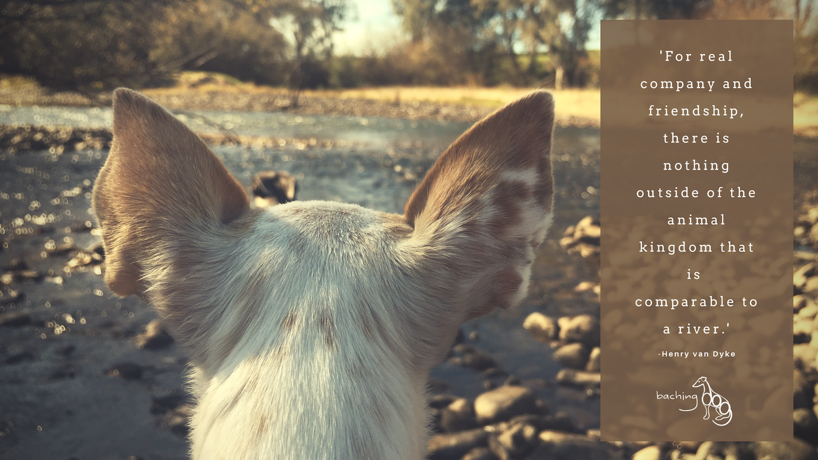 Squeak by the River, website version.png