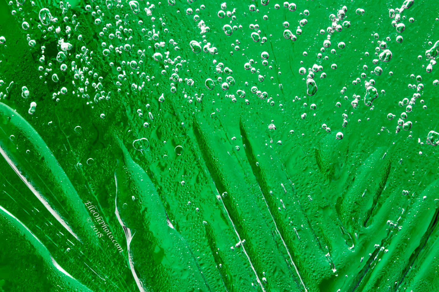 WEB watermark 4515 Ice Grass 1500 px.jpg