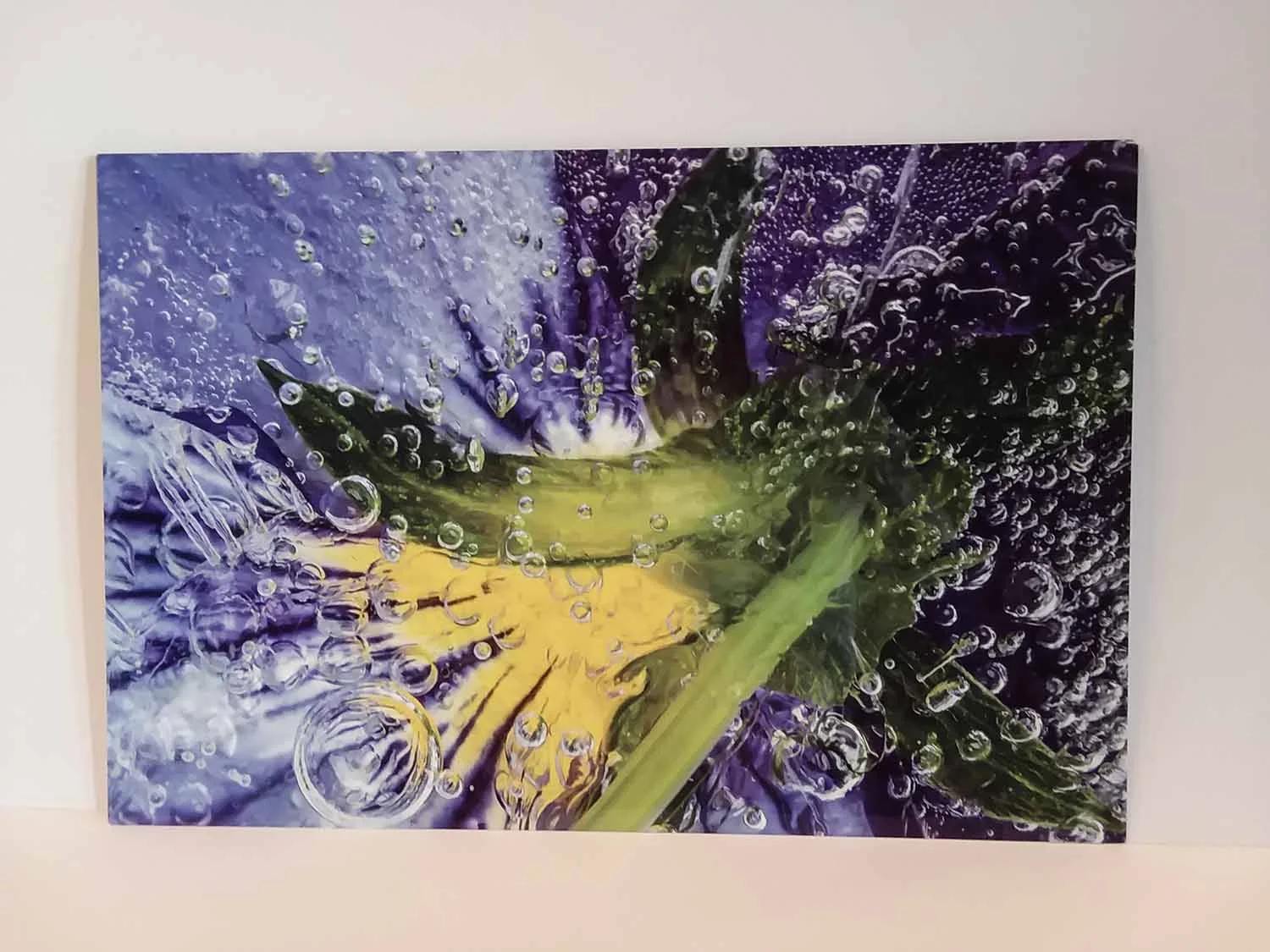 Metal prints have no frame to distract from the brilliant colors.