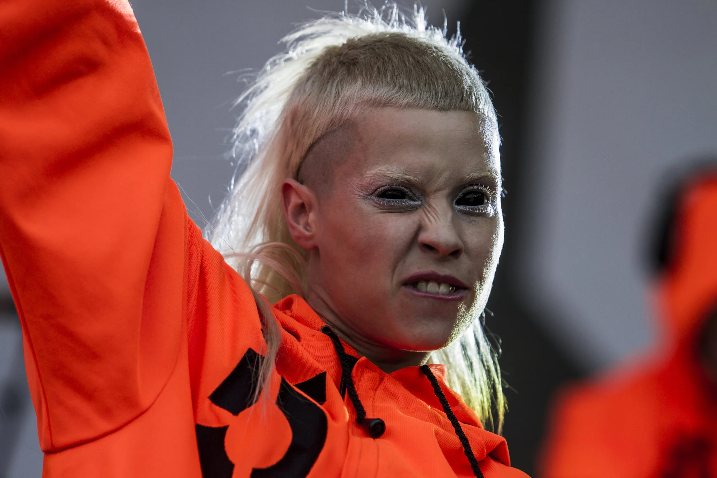 Die Antwoord
