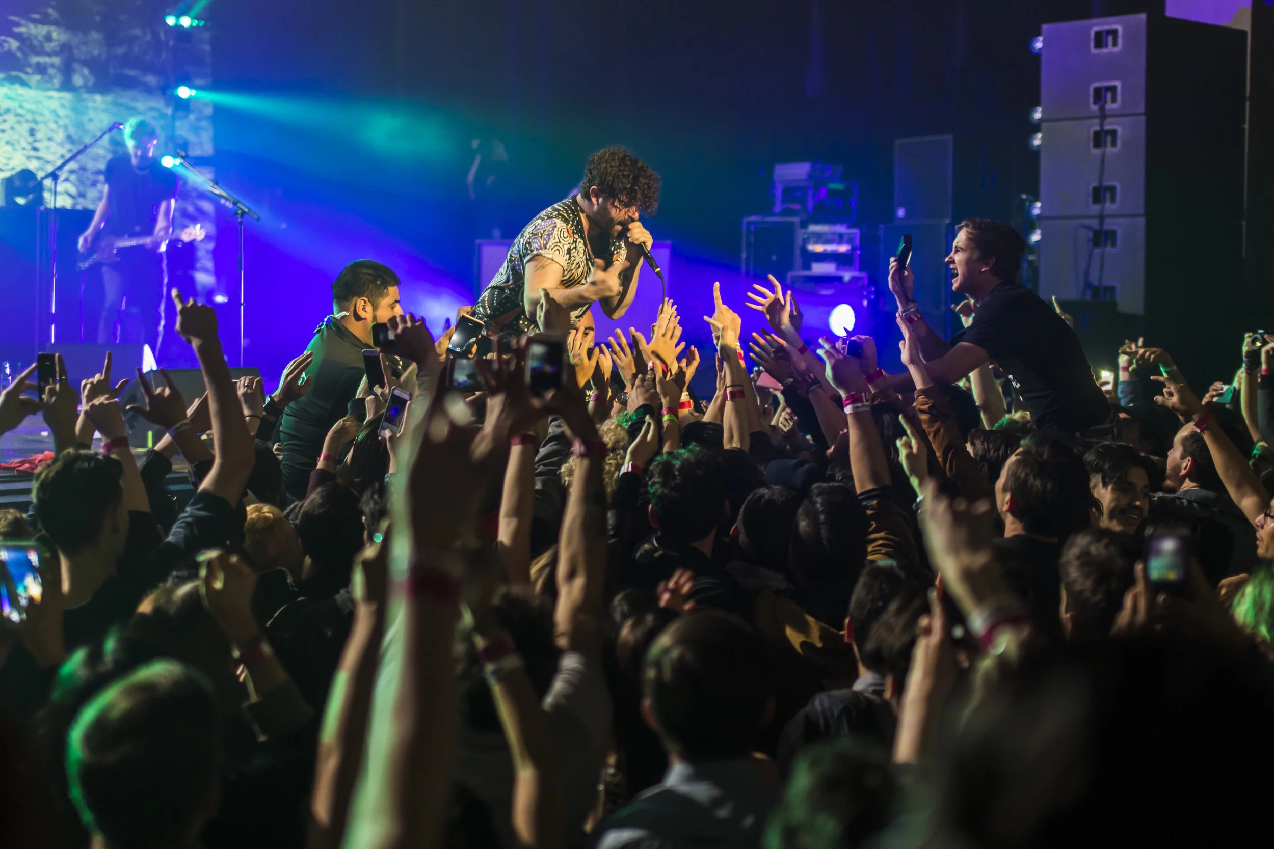 Foals