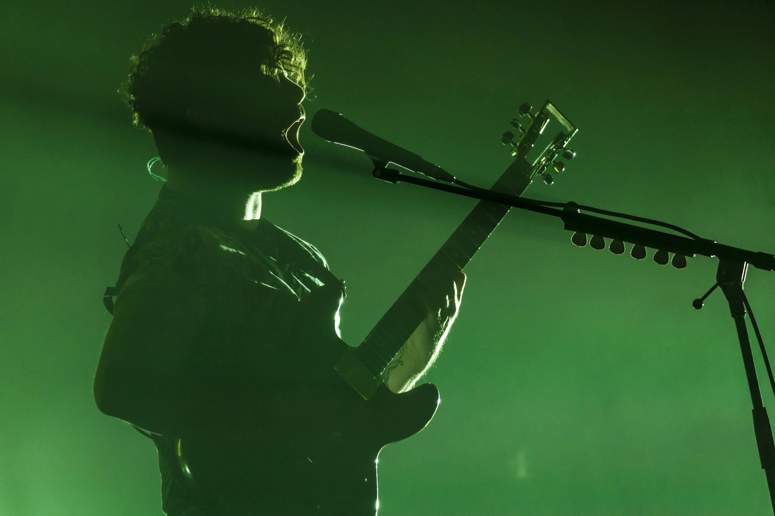 Foals
