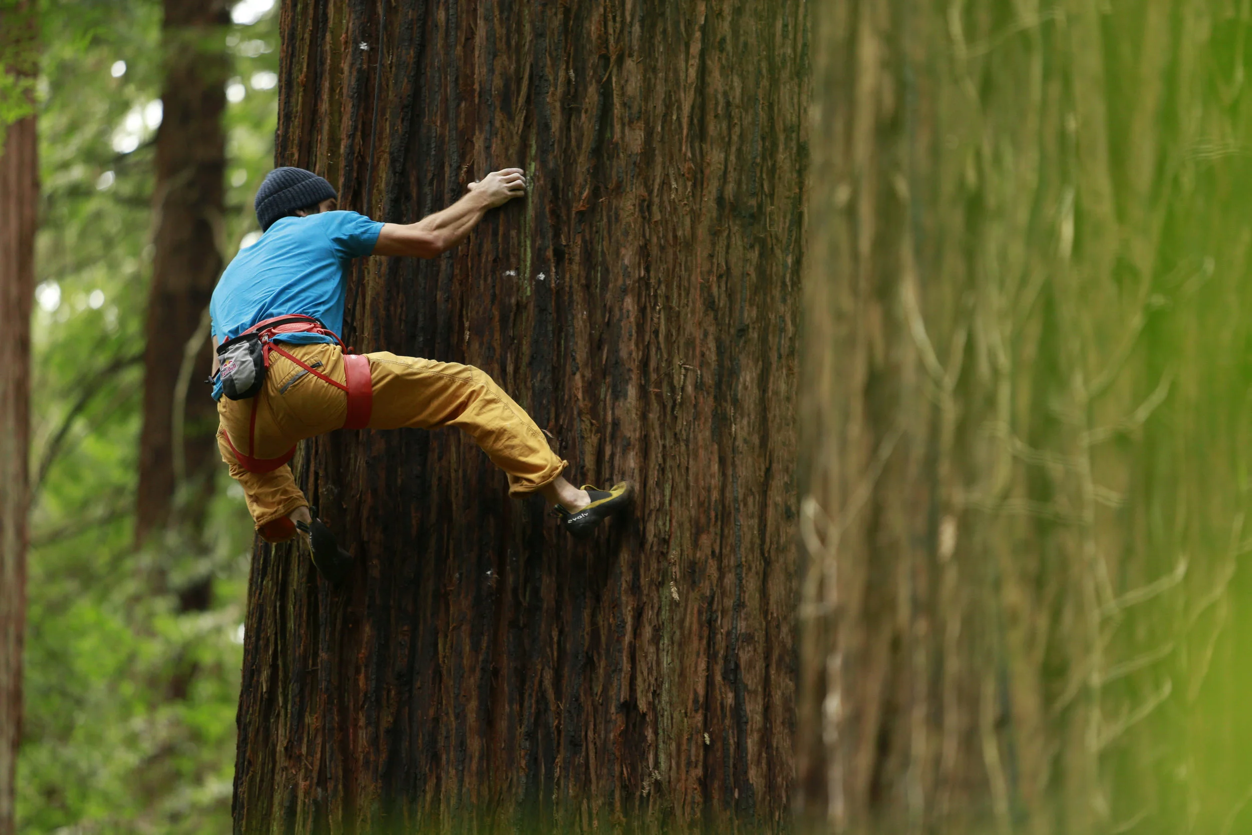 Chris Sharma
