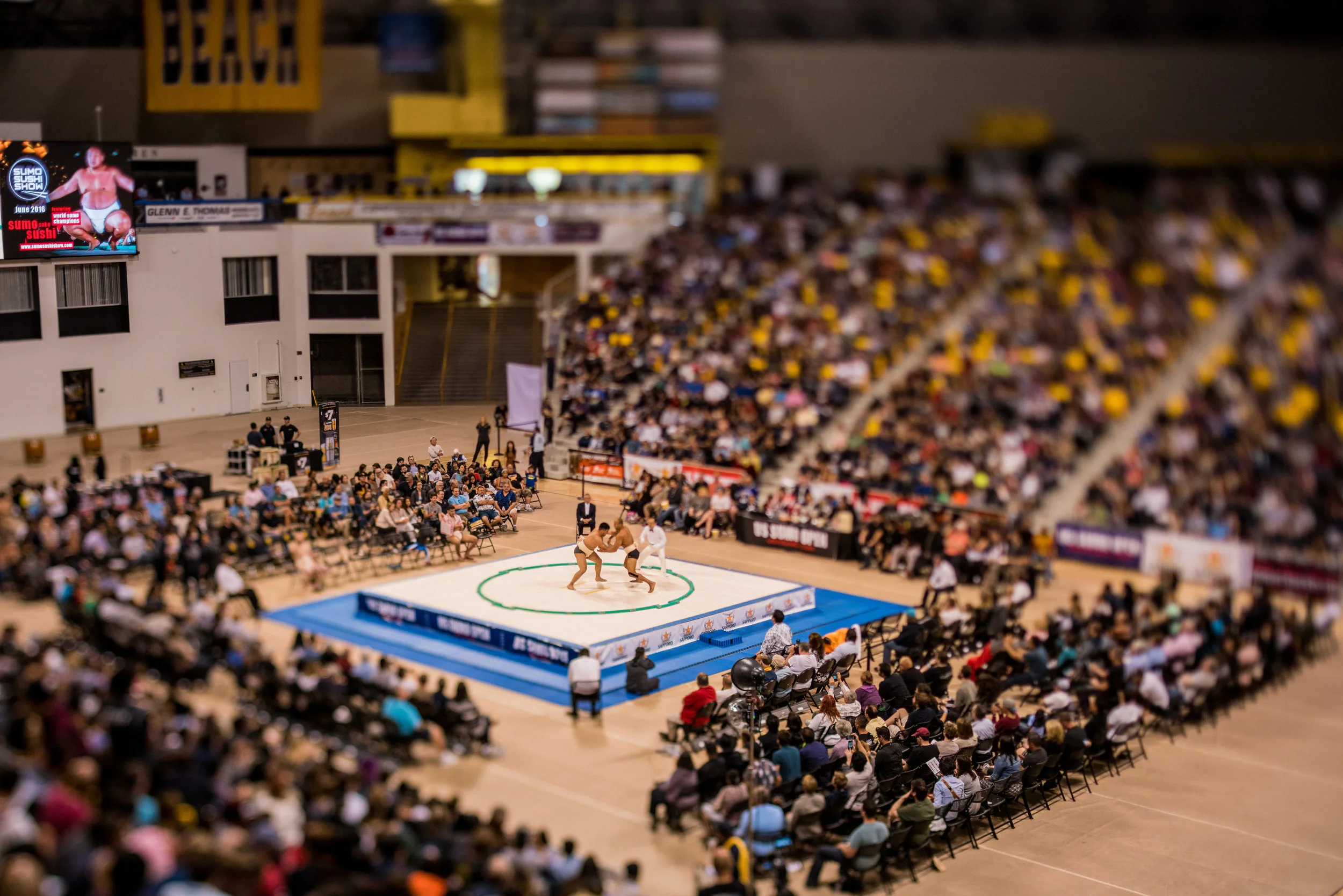US Sumo Championships
