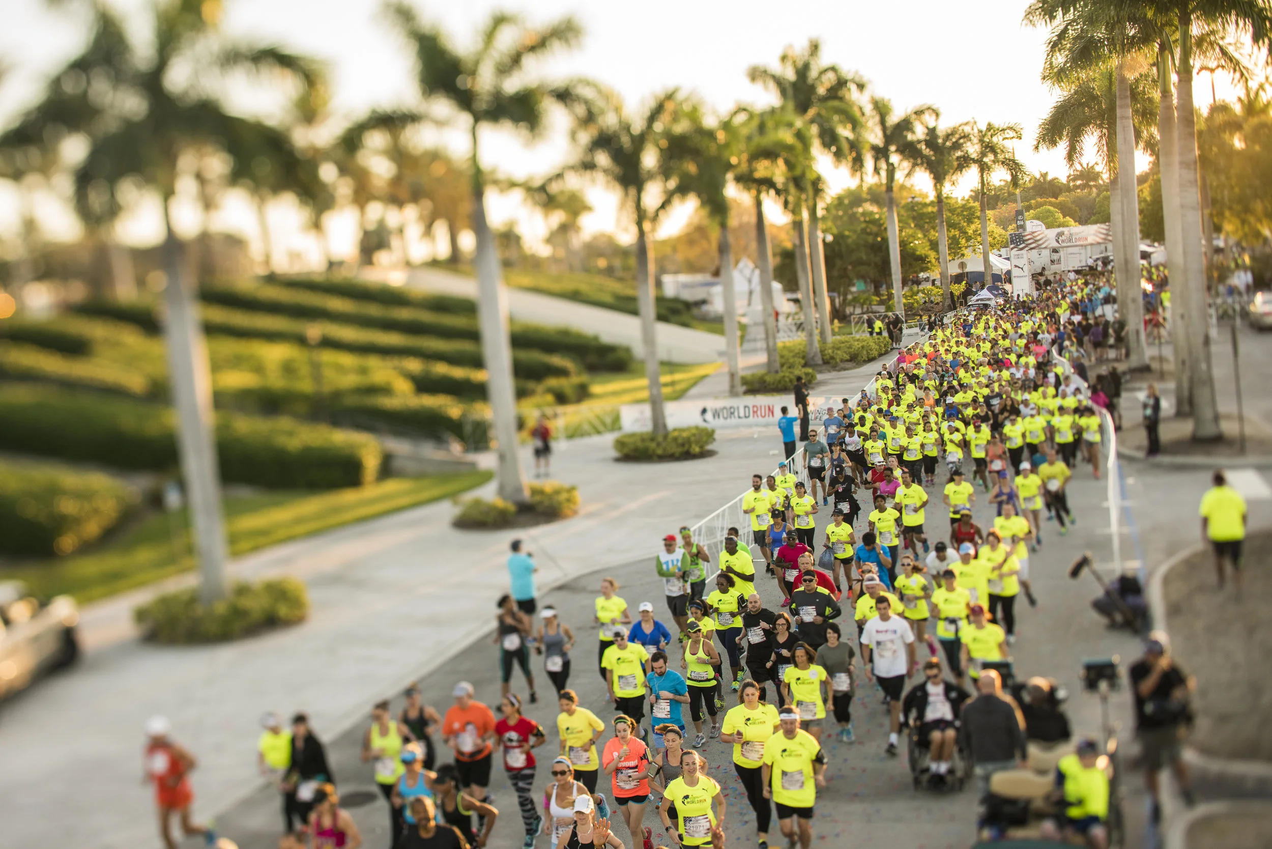 Wings For Life World Run