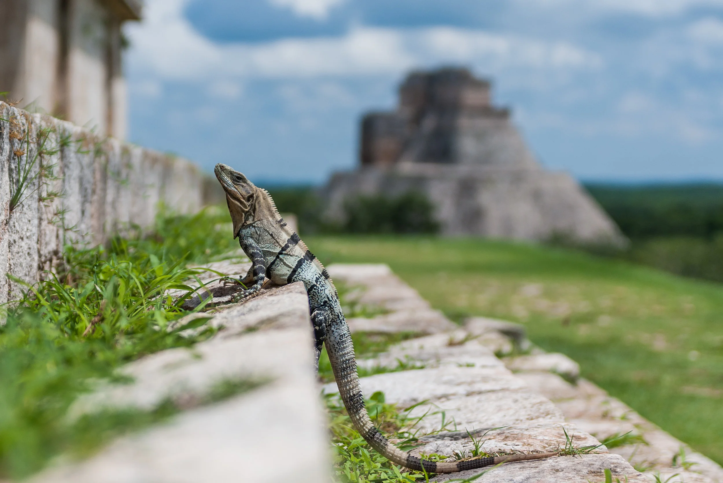 Uxmal_170908_121.jpg