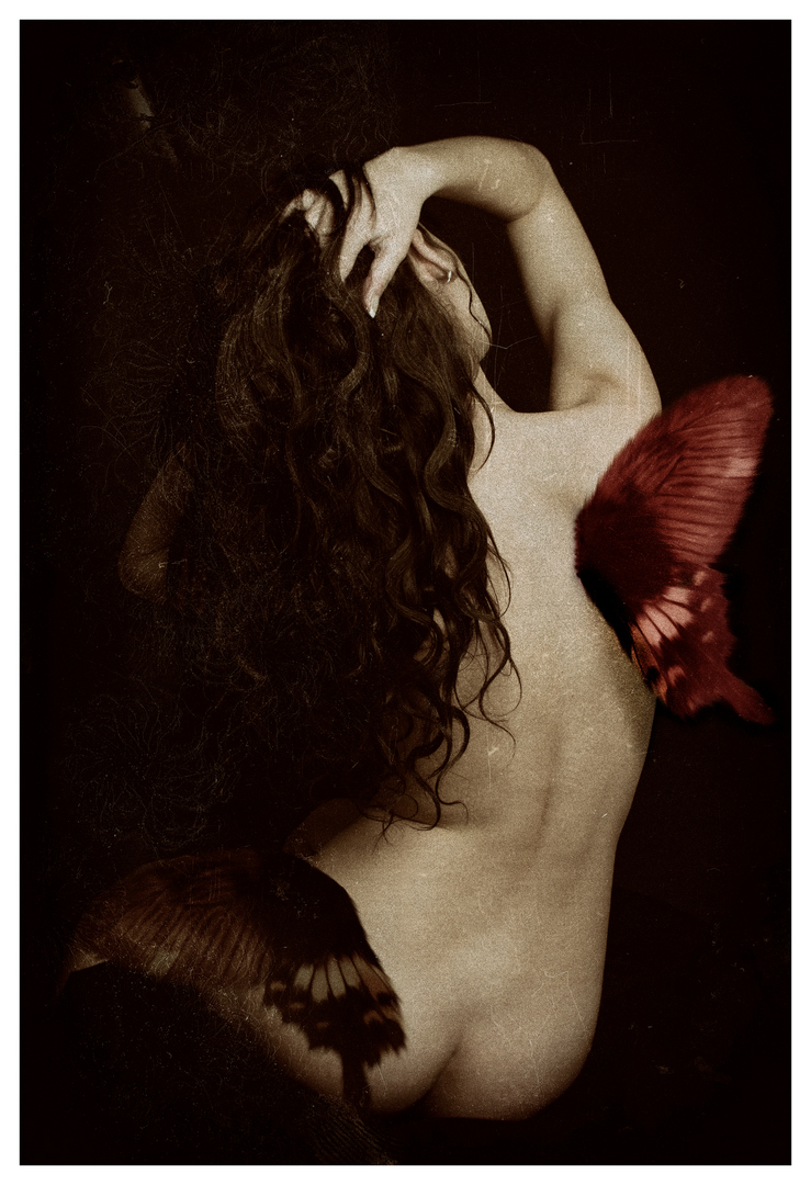 Woman who was a butterfly. (2018)