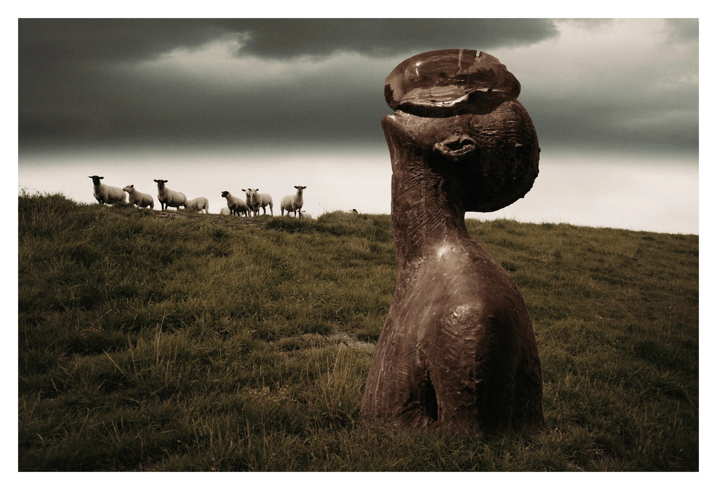 Sheep. (2018)