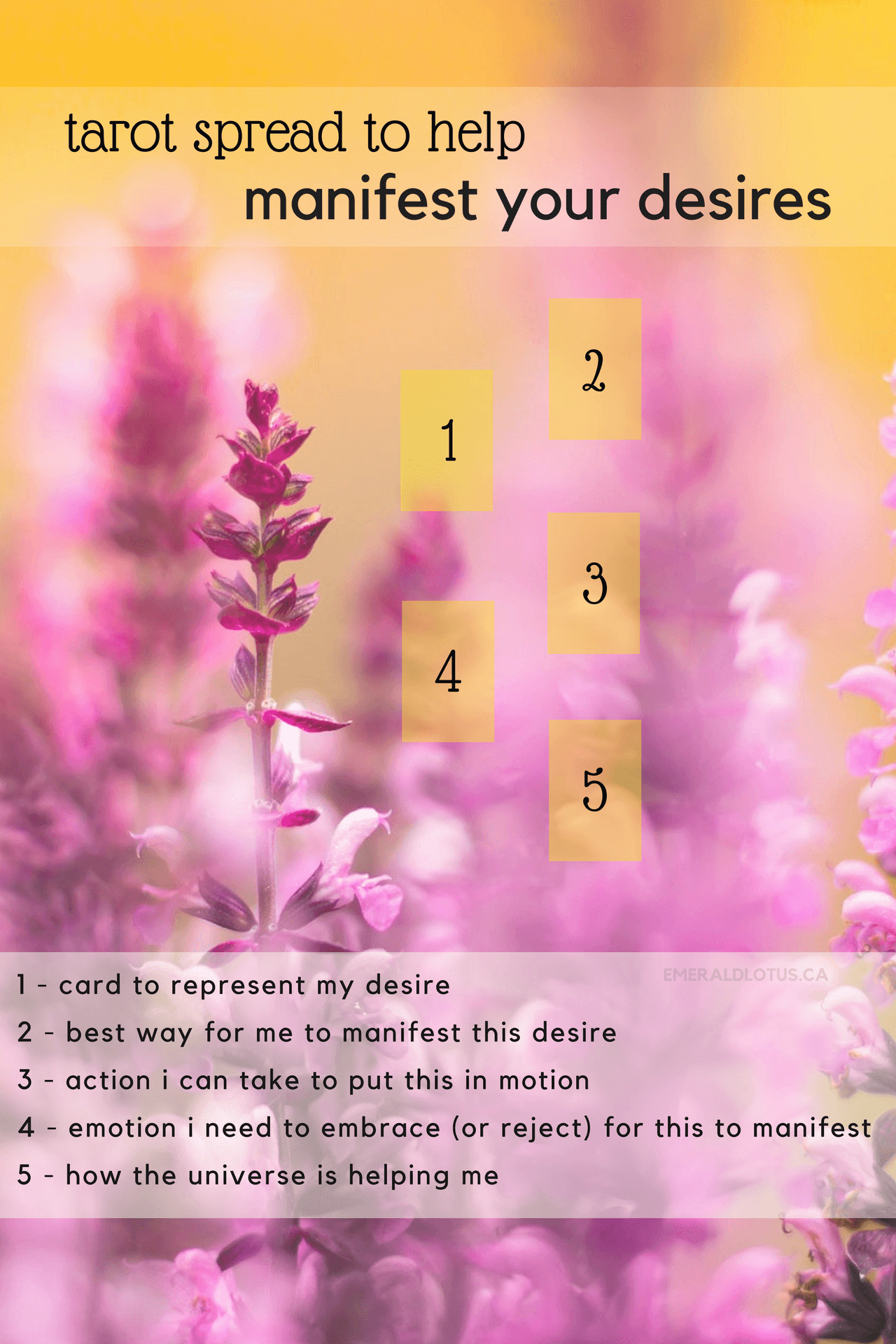 manifesting-1.png