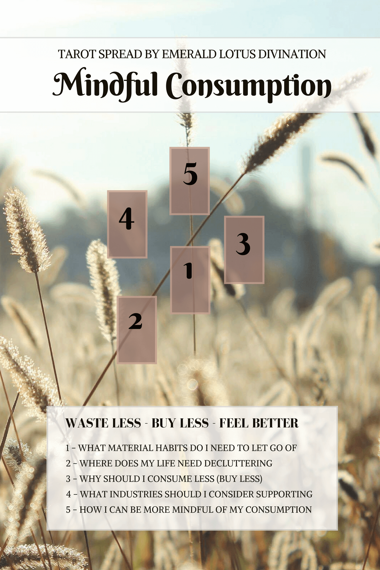 mindful-consumption-tarot-spread-2-1.png
