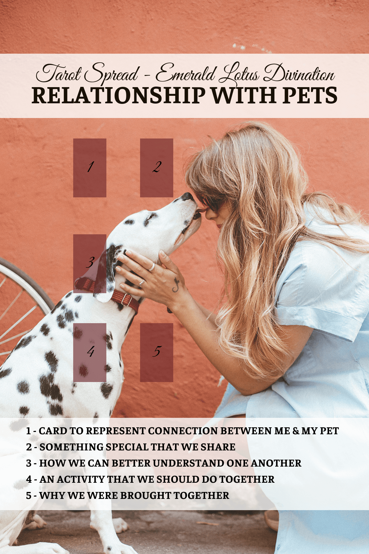 Relationship-with-Pet-Tarot-1.png