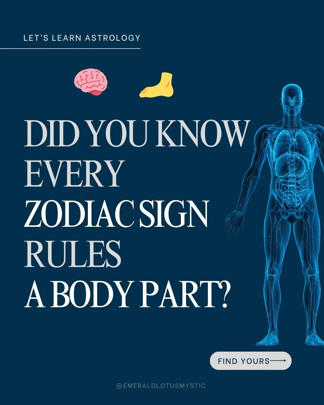 Body Parts Ruled by Zodiac Signs (Astrology Explained)