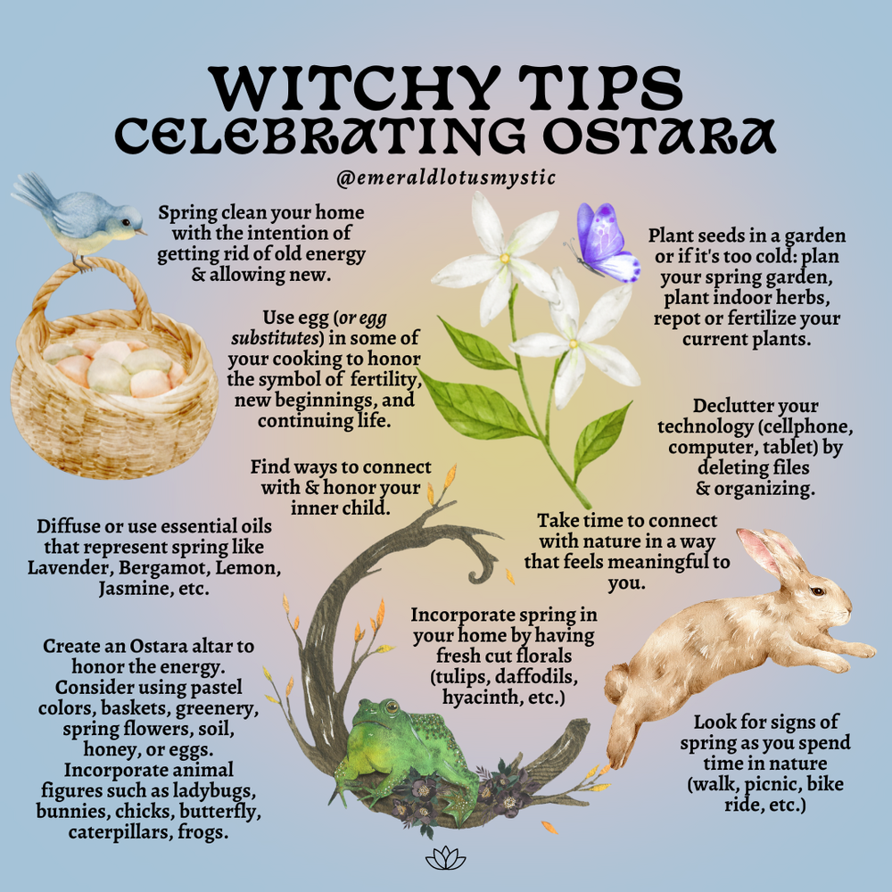 What is Ostara and how do you celebrate? | Spring Equinox | Witch Tips ...