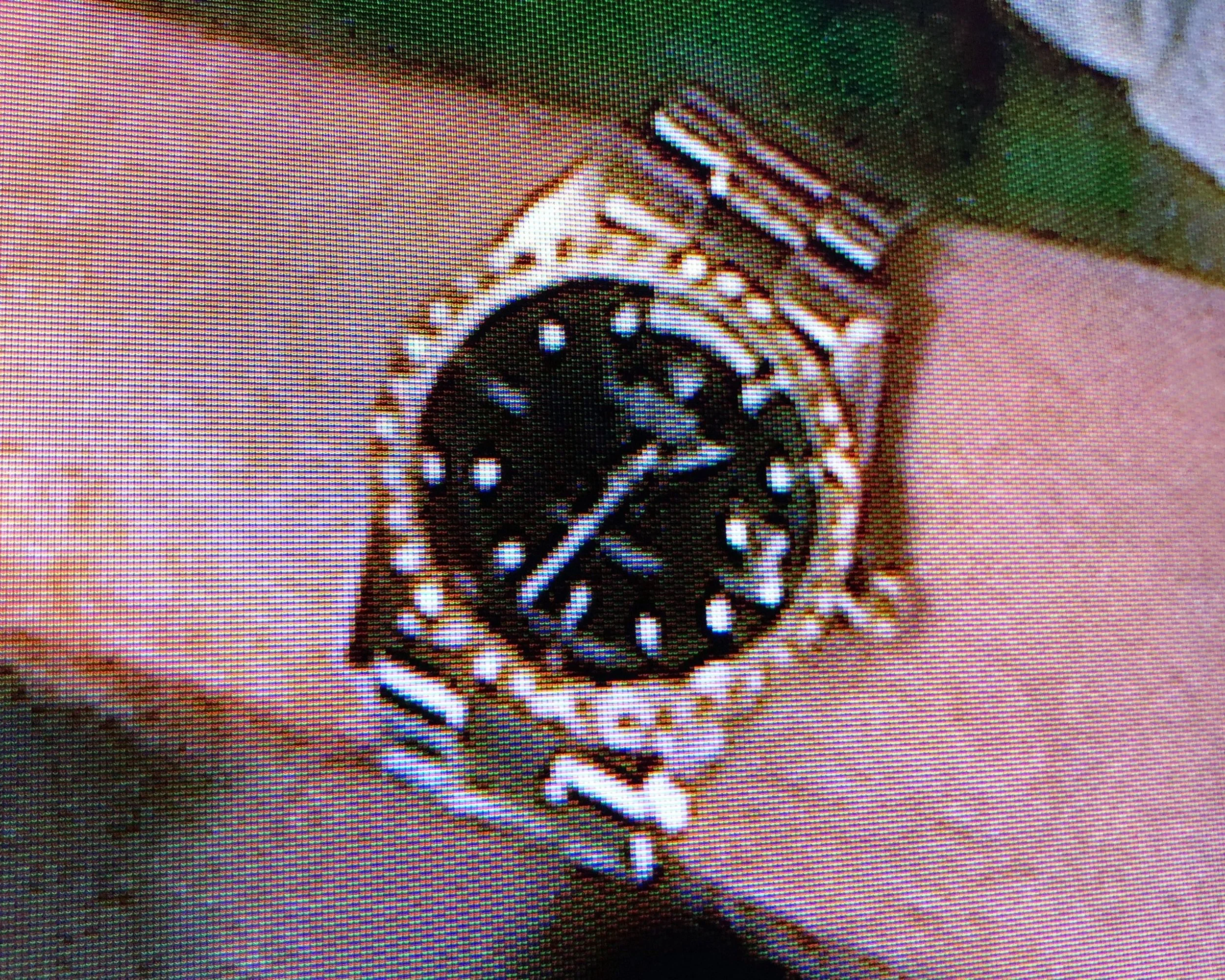 Billy Bob Thorton's Wrist Watch in Bad Santa
