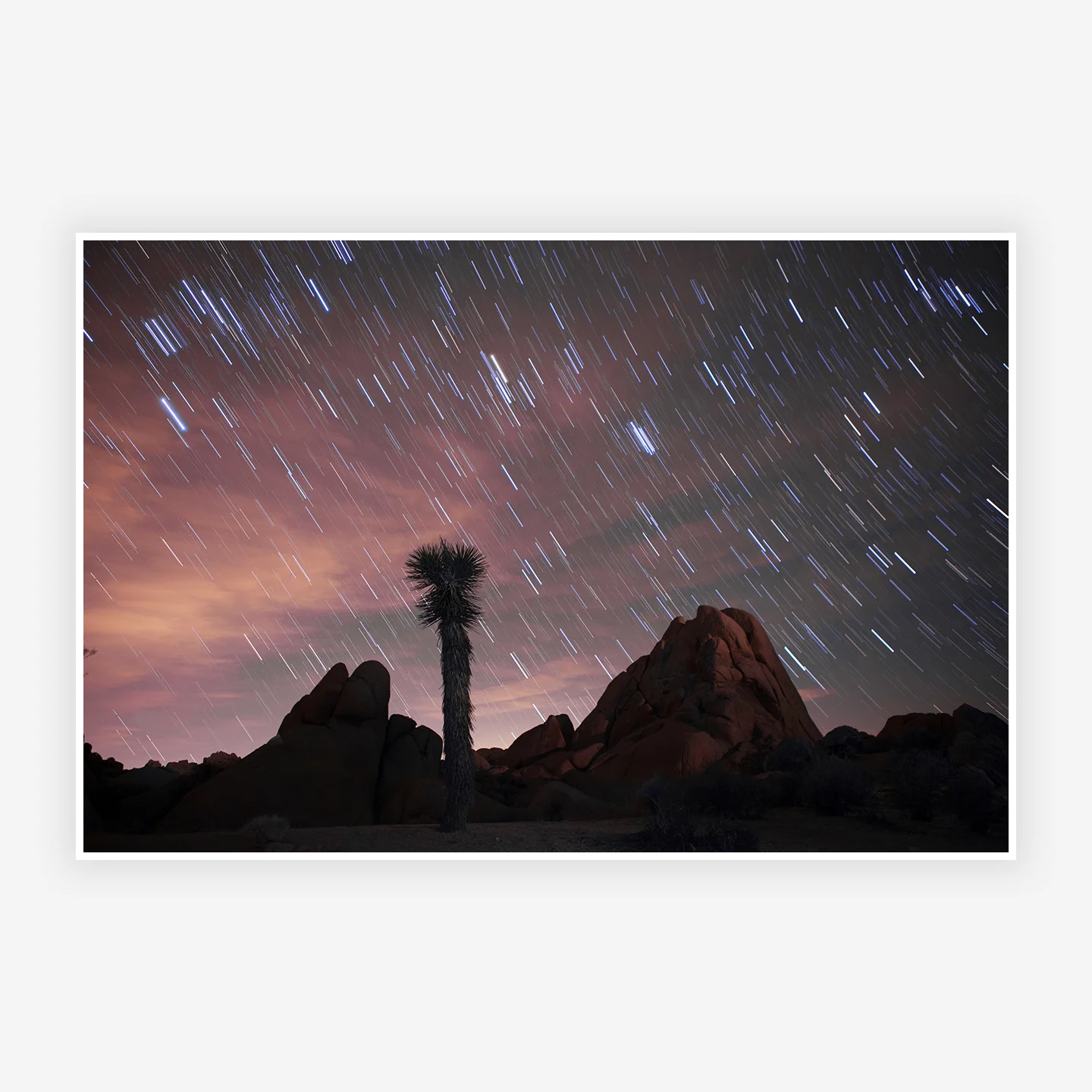 JoshuaTree_Startrail_Preview.jpg